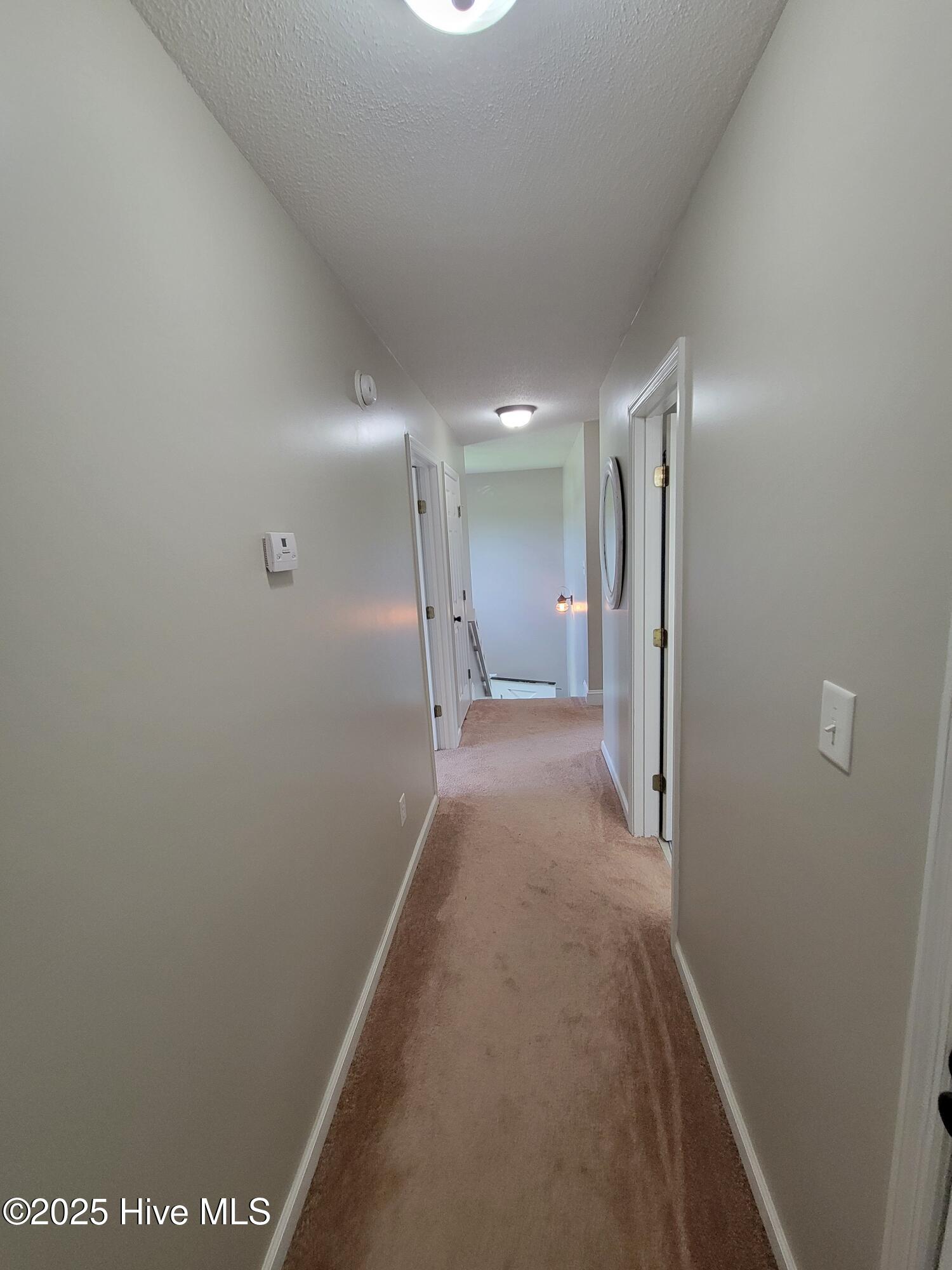 100545982 | Photo 13