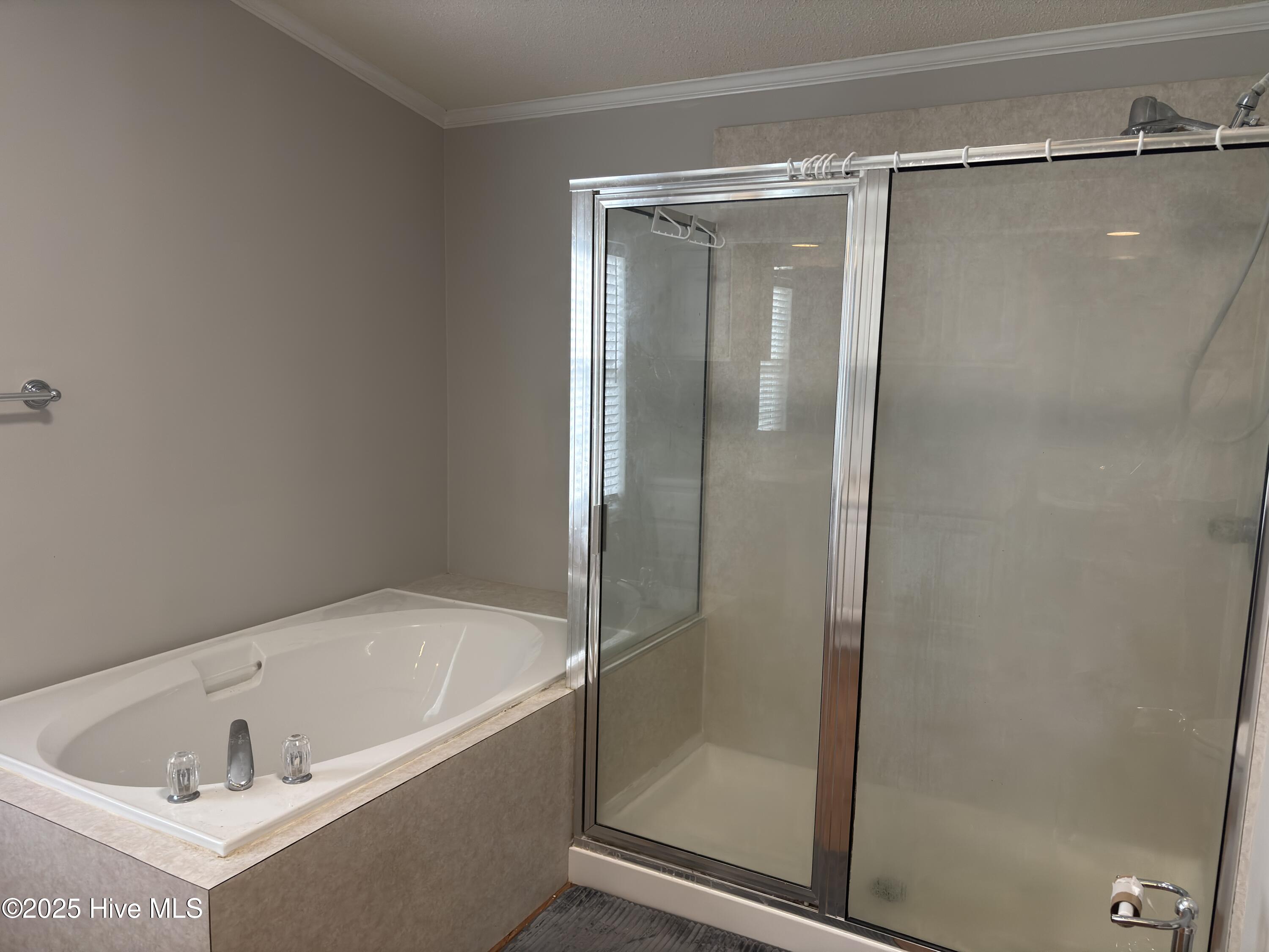 Soaking Tub and Shower in Primary Bath