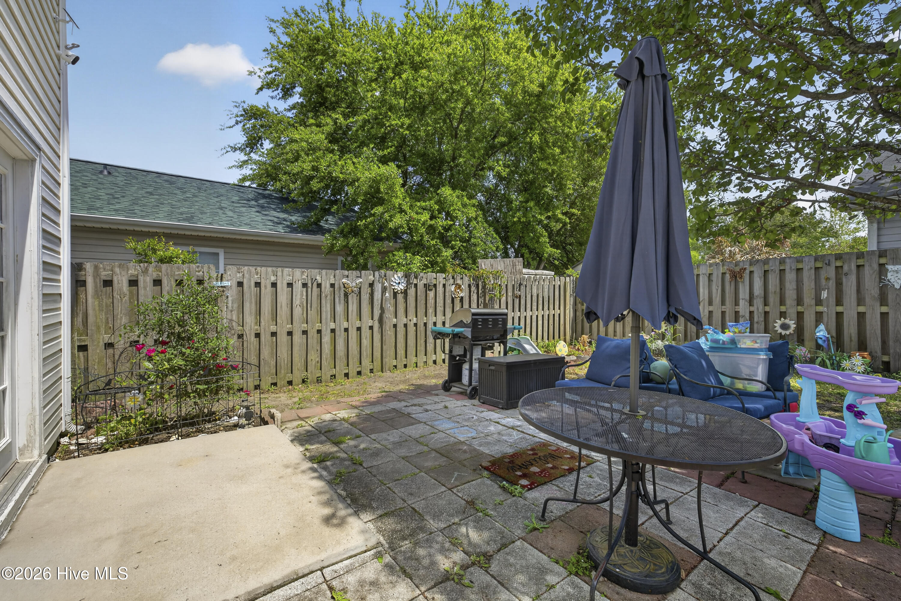 100567441 | Photo 26