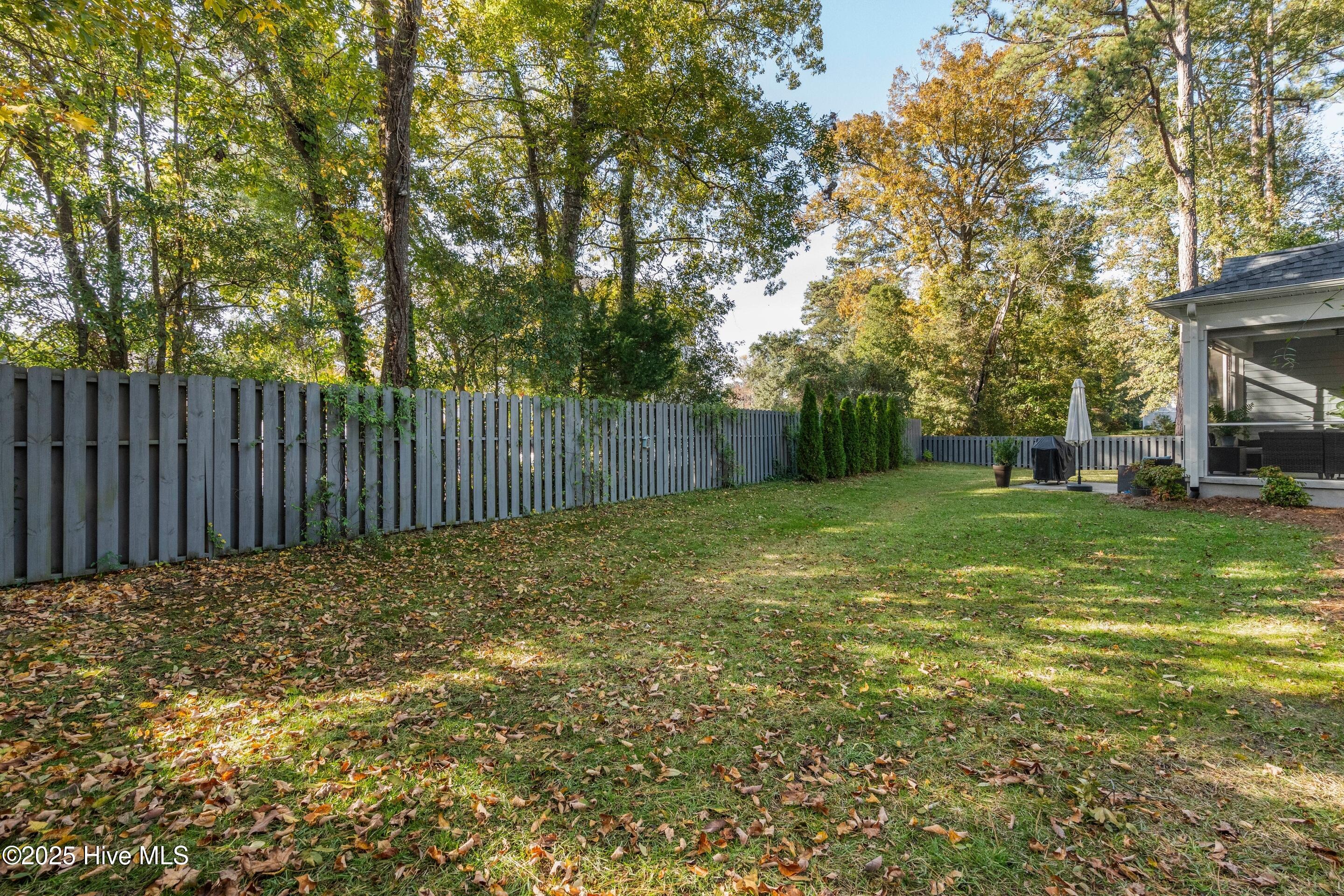 100542073 | Photo 46