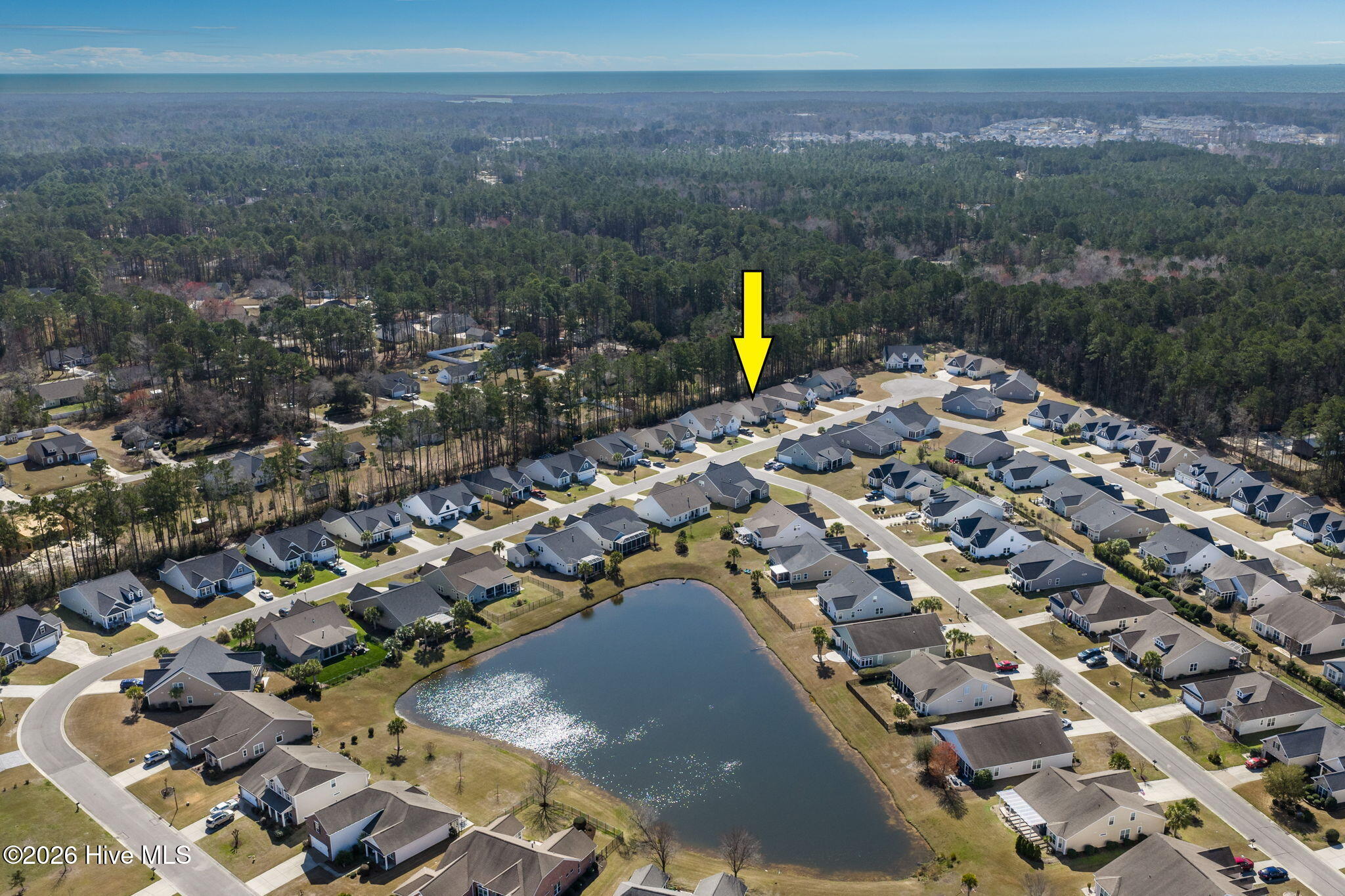 100559245 | Photo 28