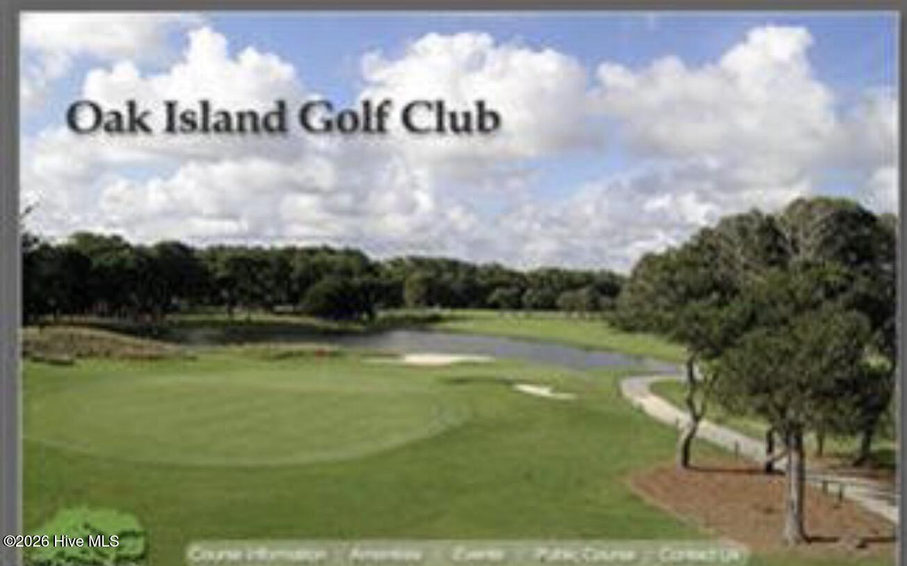 100546689 | Photo 57