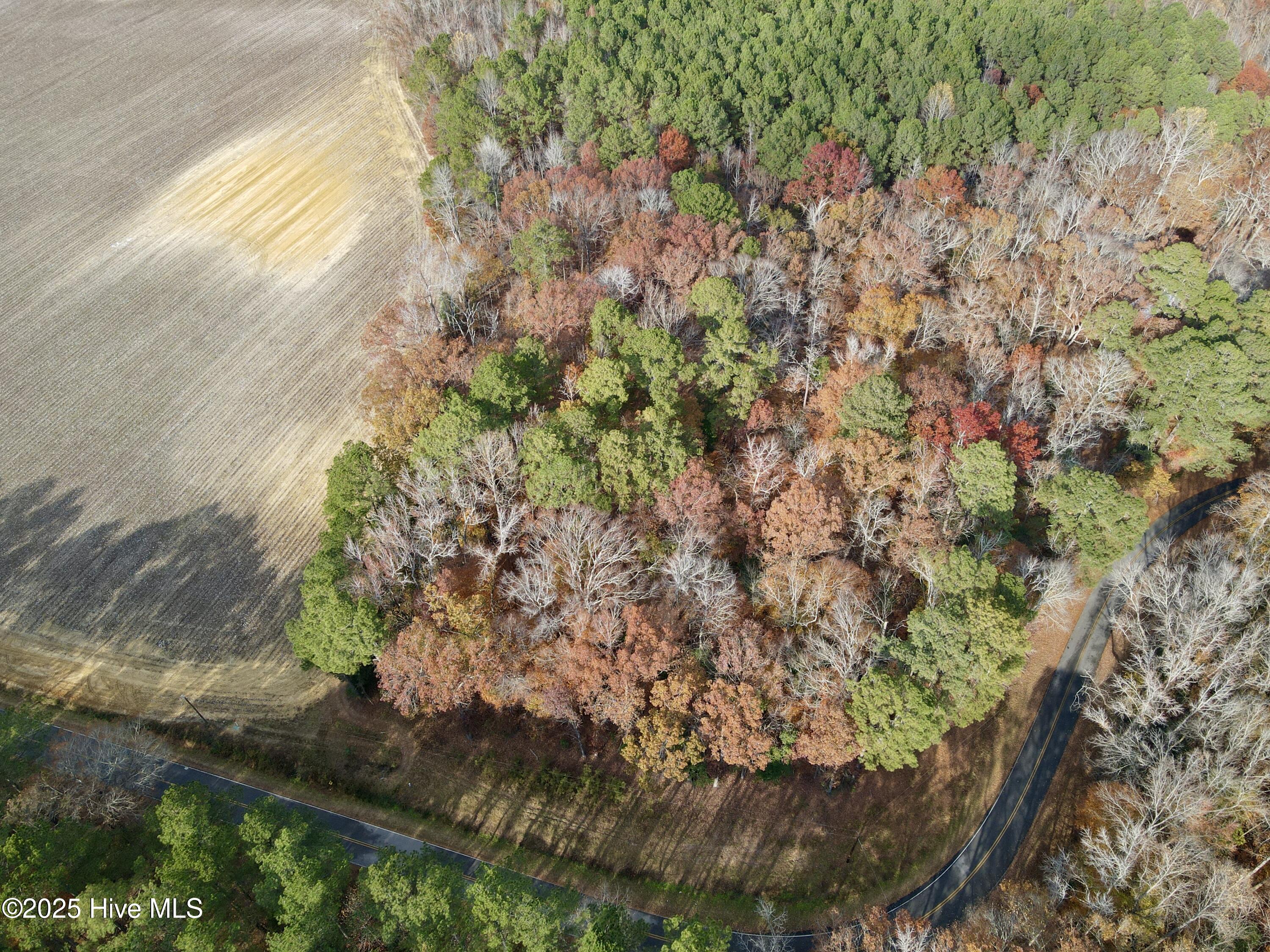 Homes for sale in Williamston, NC | 0 Williams Rd, Williamston, NC 27892 | MLS# 100543369