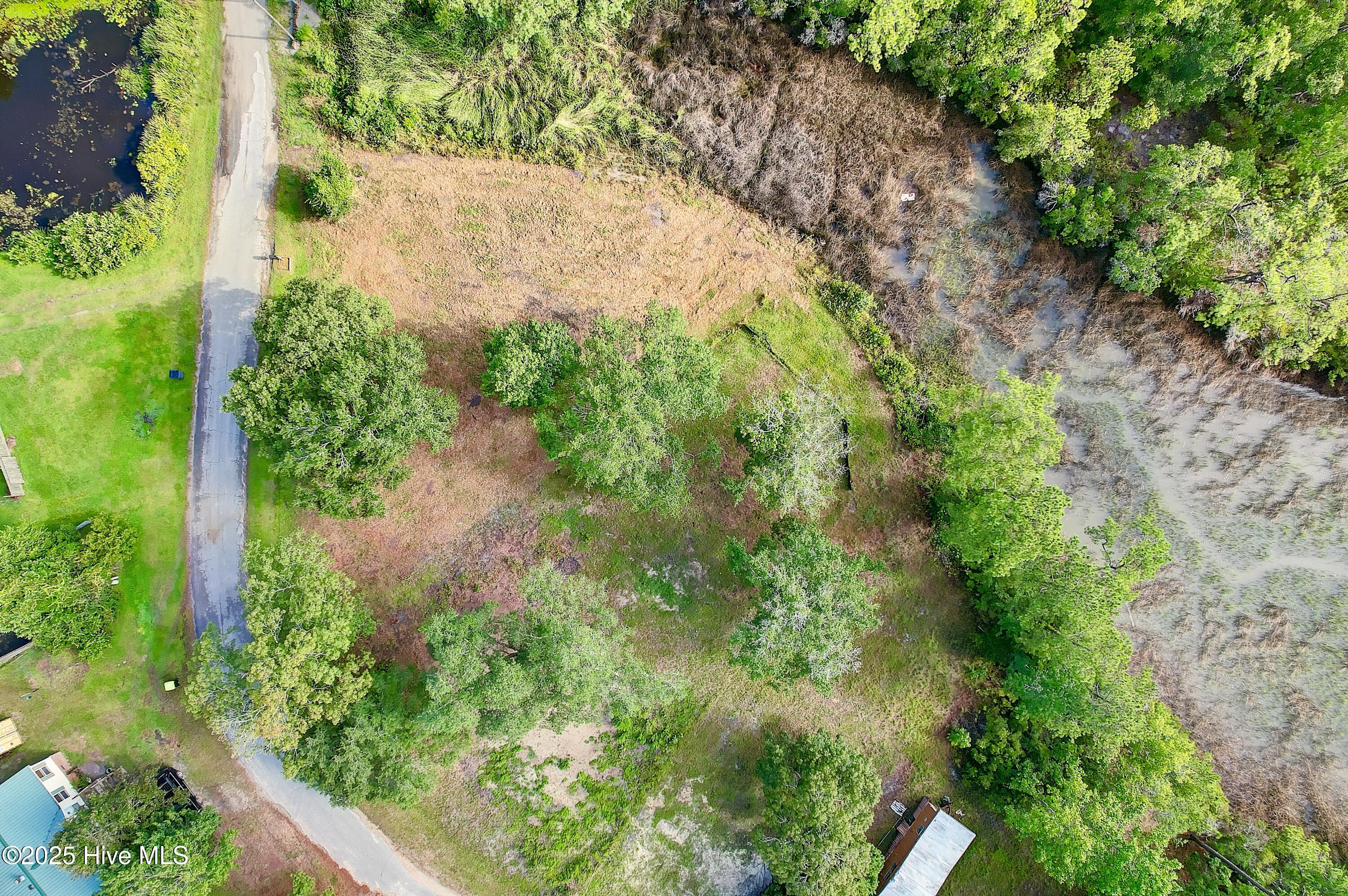 100521467 | Photo 21