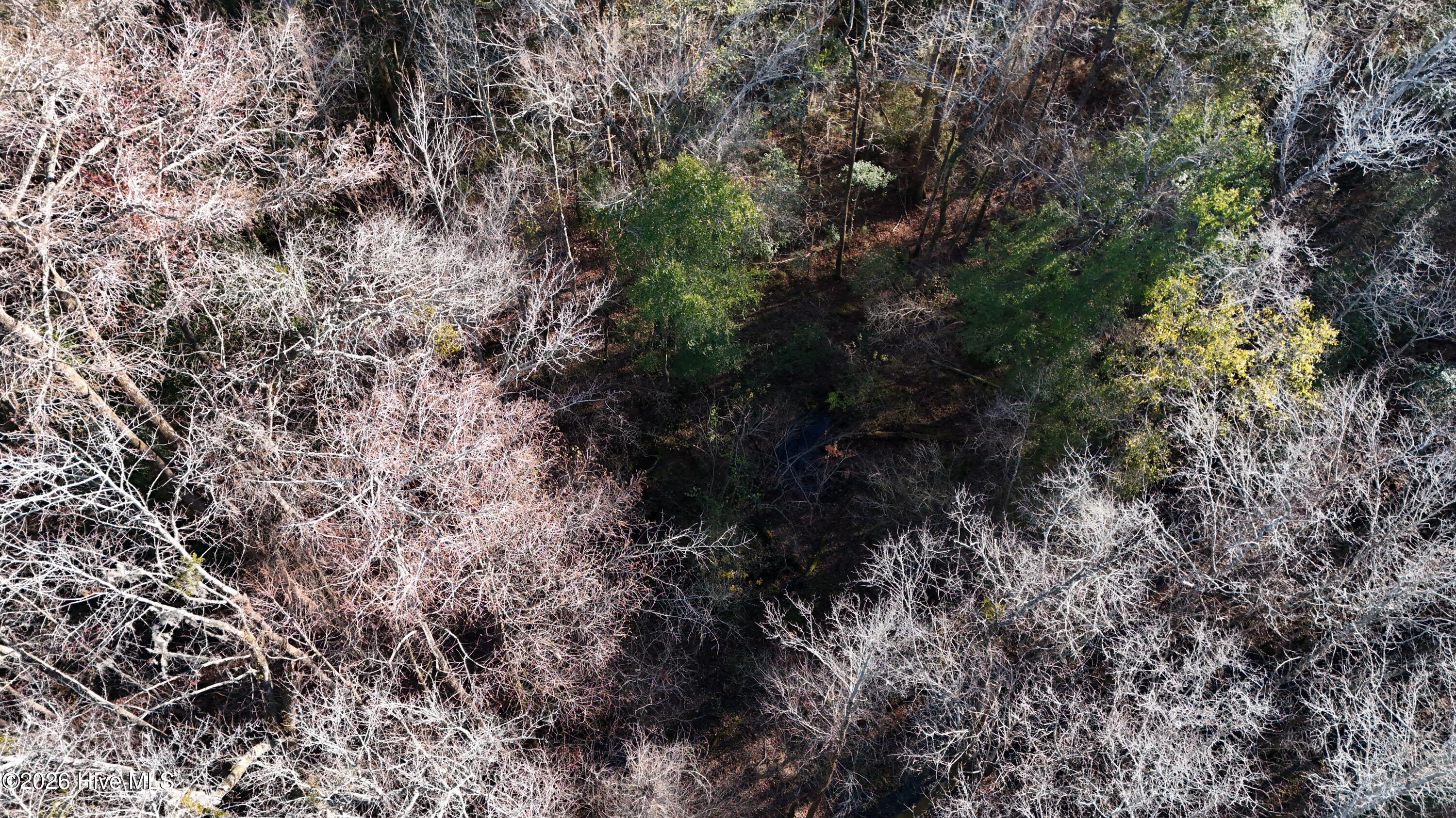 100556794 | Photo 25