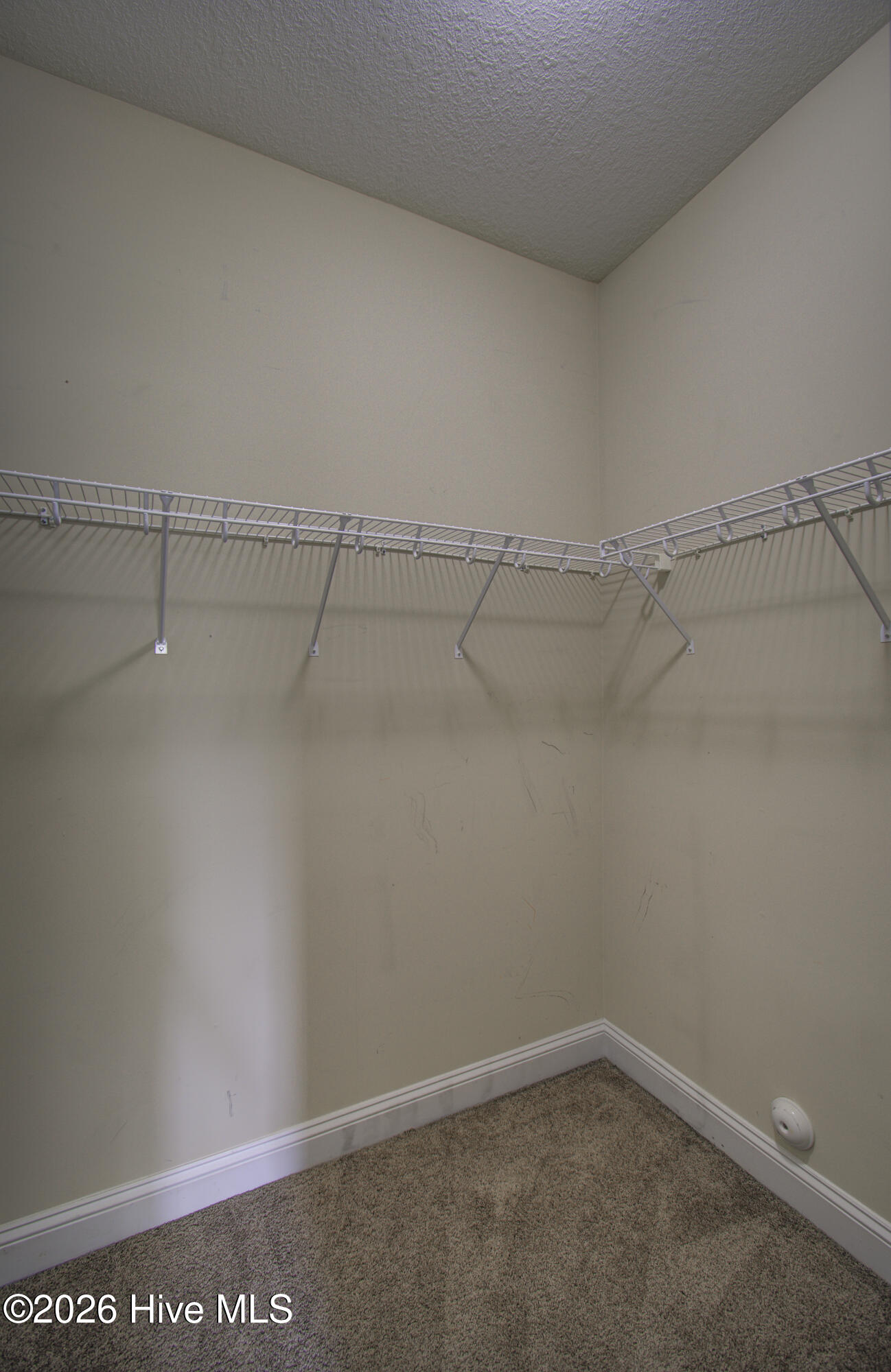 100589776 | Photo 19