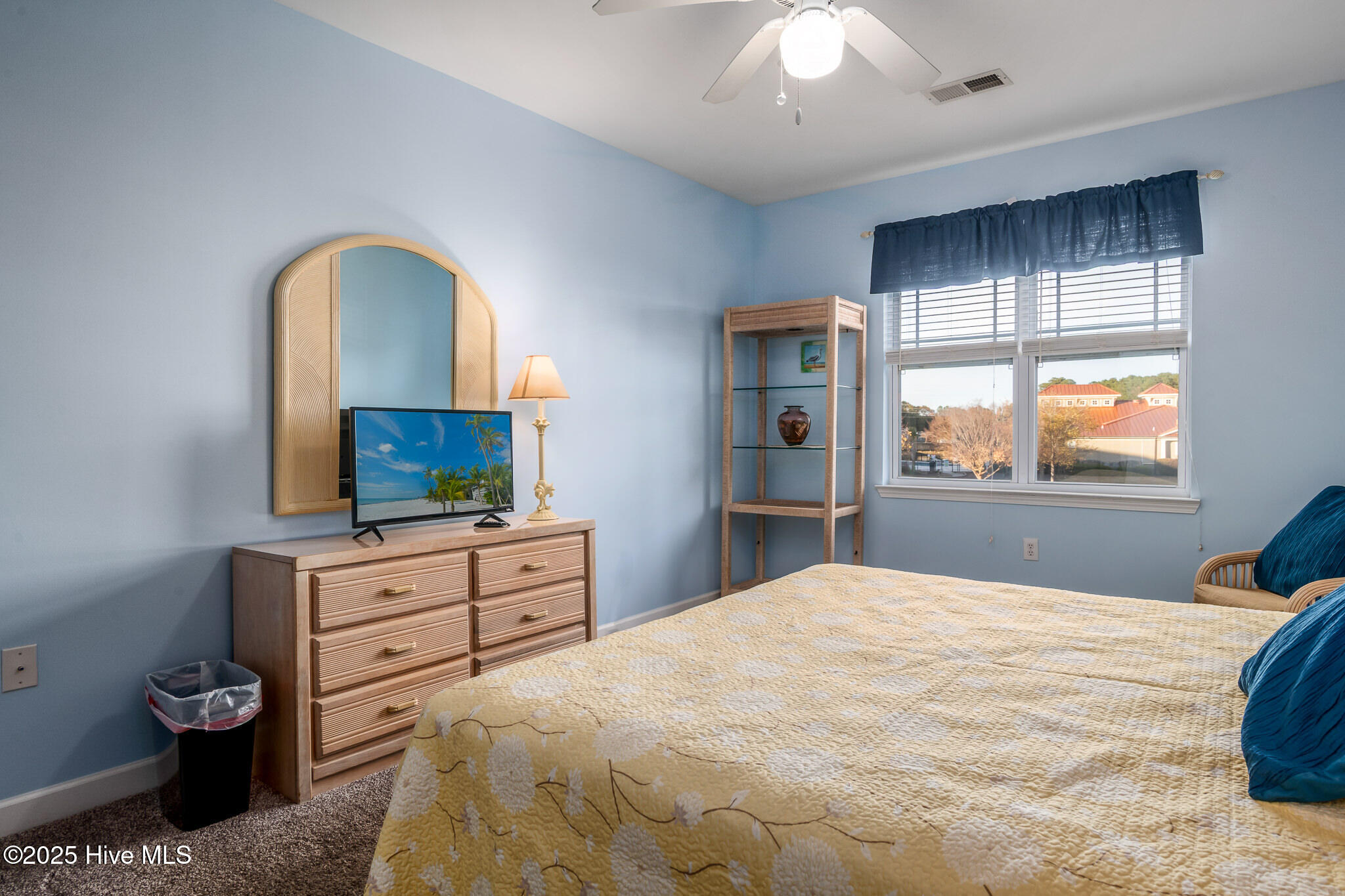 100553572 | Photo 25