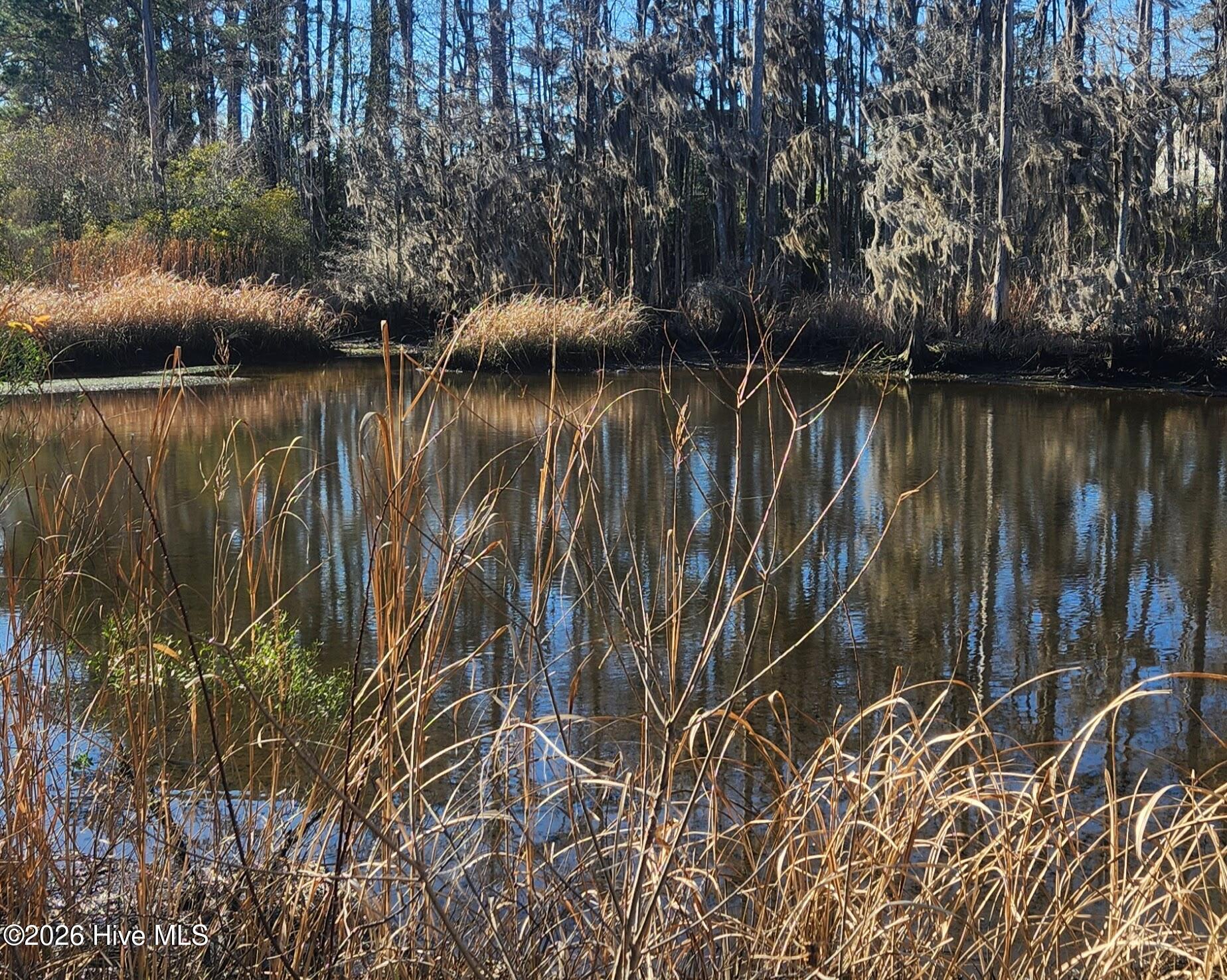 100550310 | Photo 20