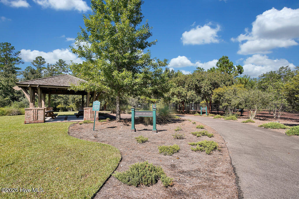 100565235 | Photo 157