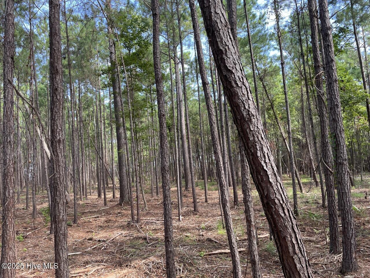 237 Garbacon Drive, Beaufort, NC, 28516