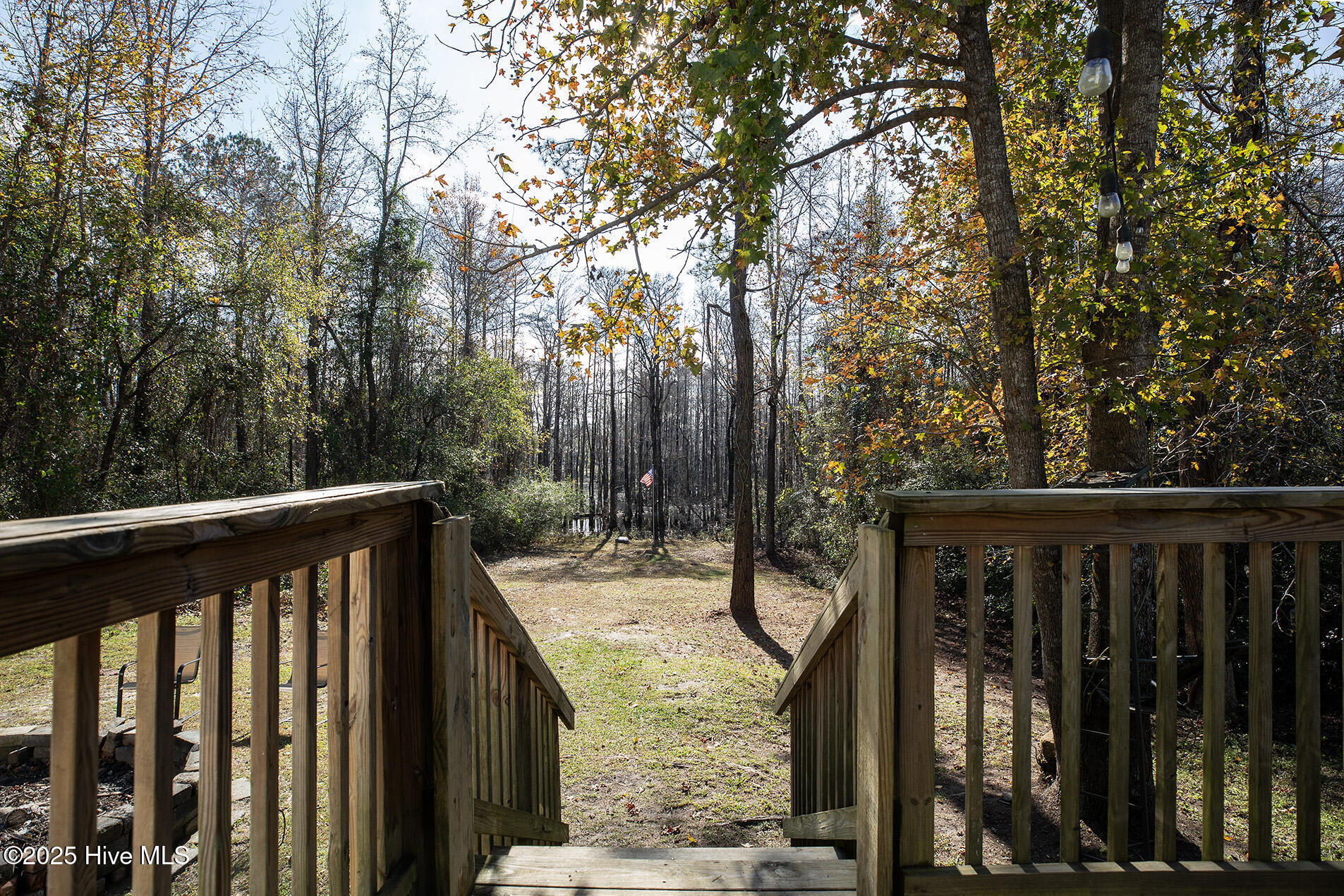 100544920 | Photo 35