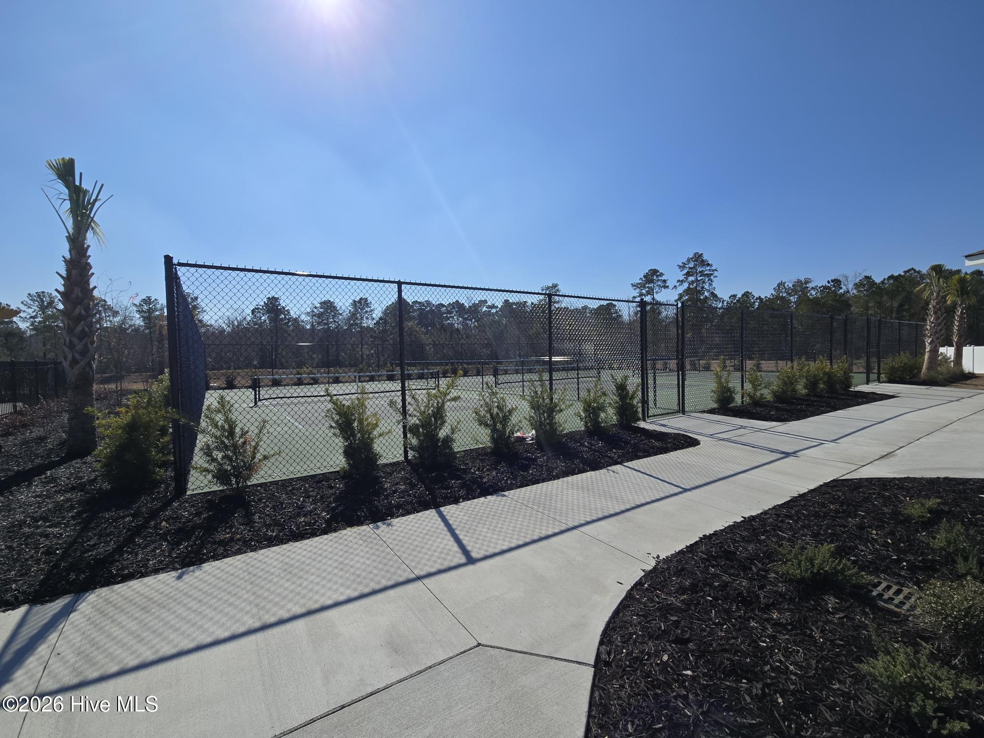 100542887 | Photo 33