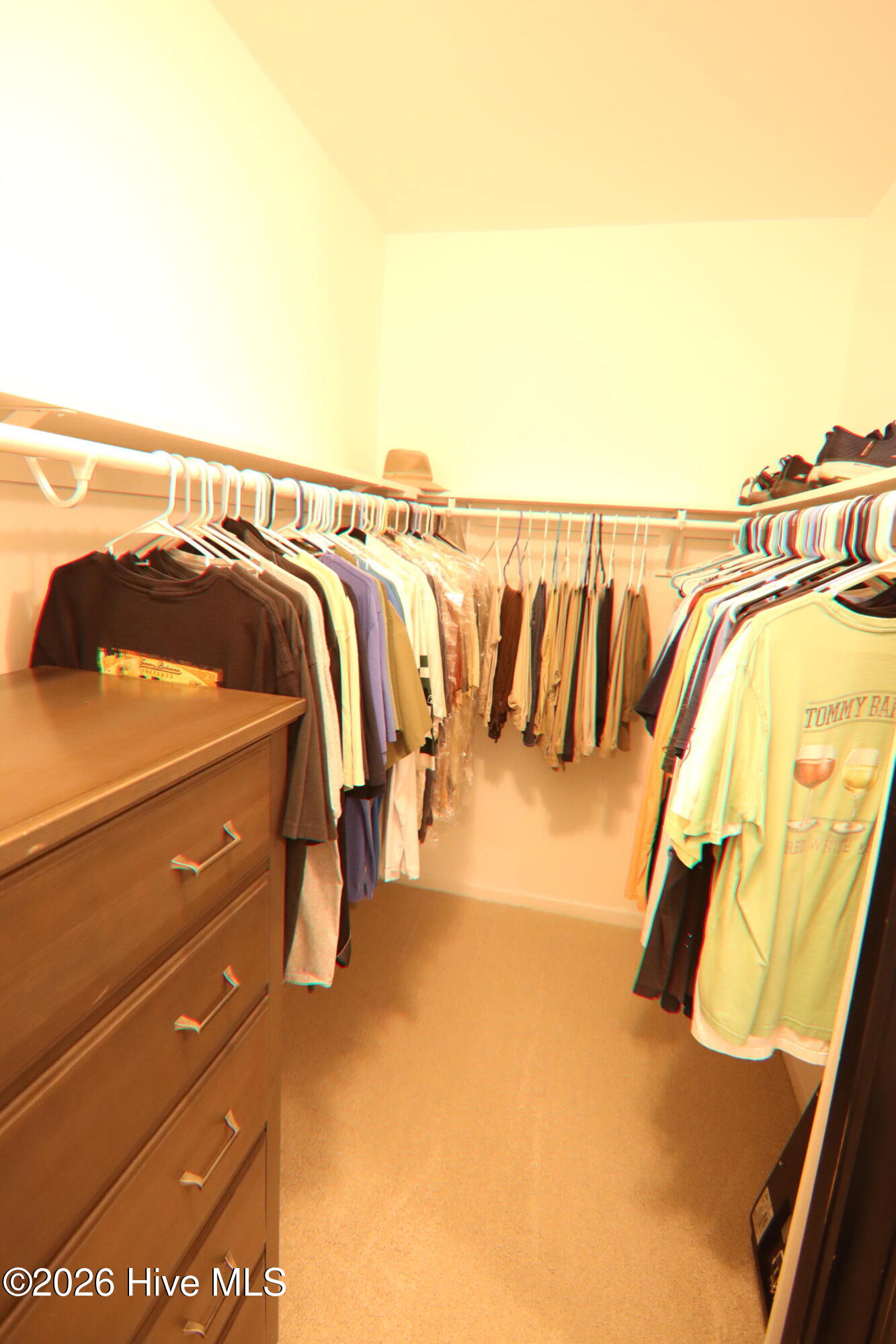 100565825 | Photo 21