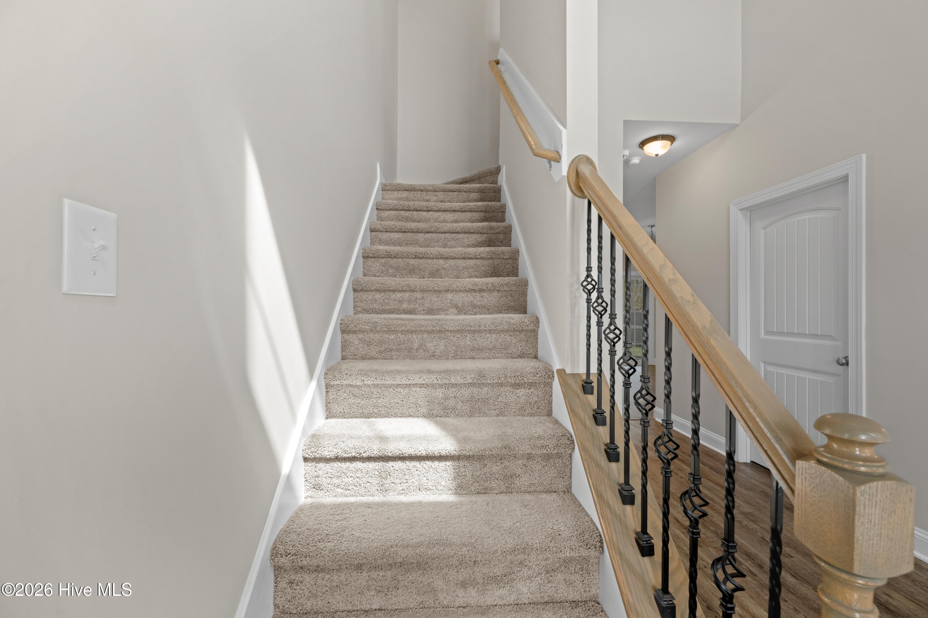 100561863 | Photo 19