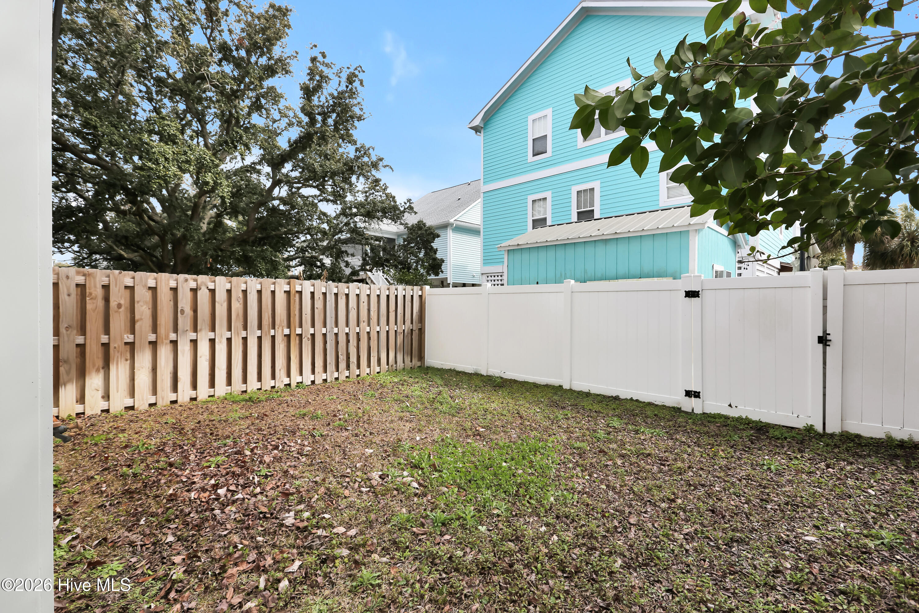 100557006 | Photo 35