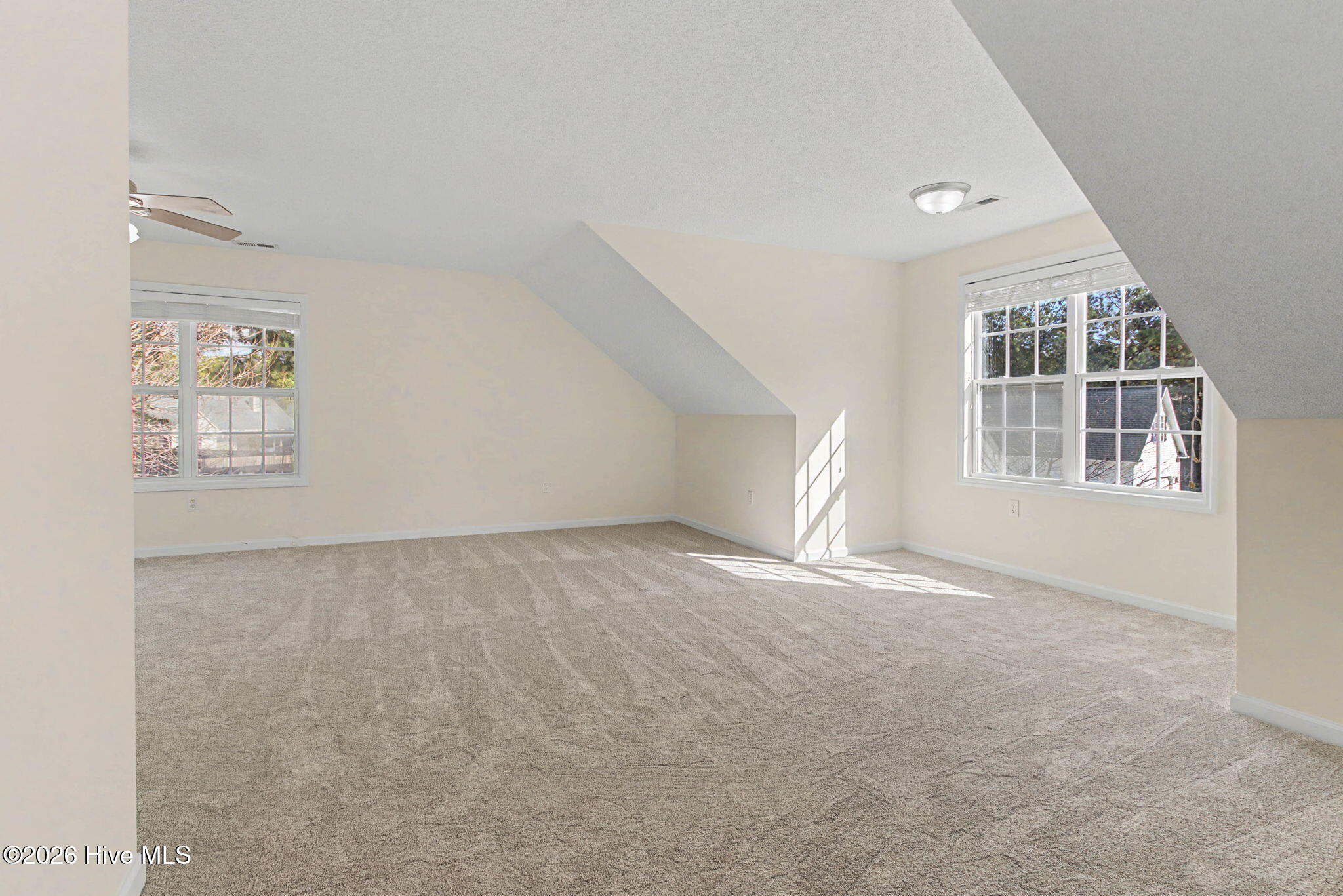 100547779 | Photo 35