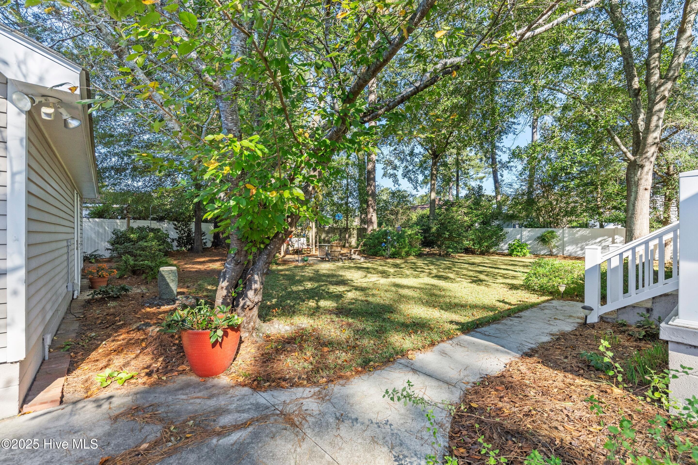 100537321 | Photo 25