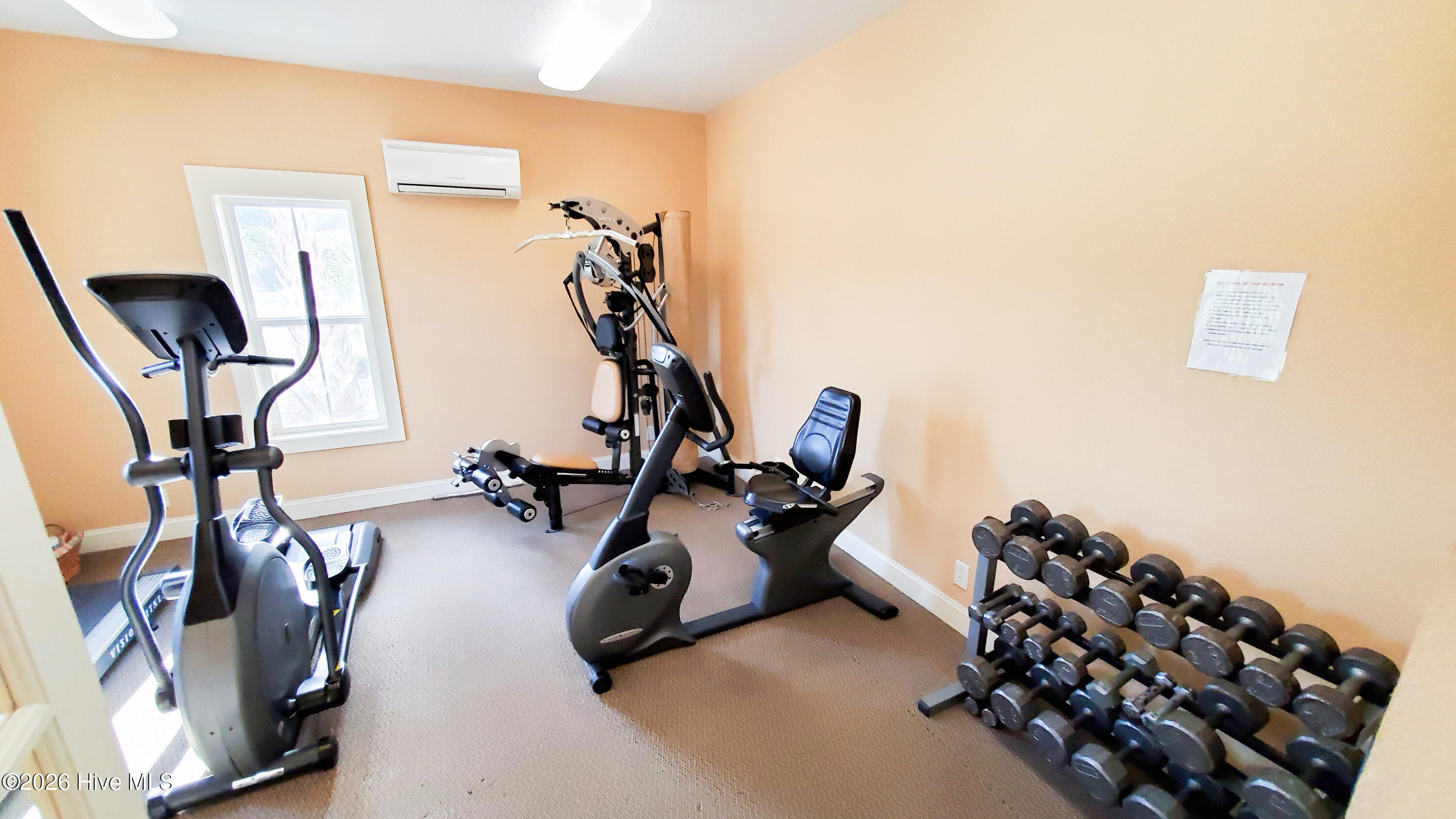 100569889 | Photo 55