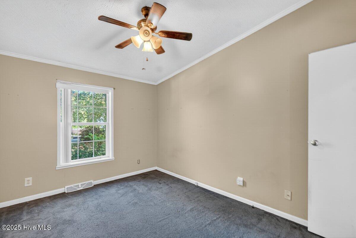 100539817 | Photo 17