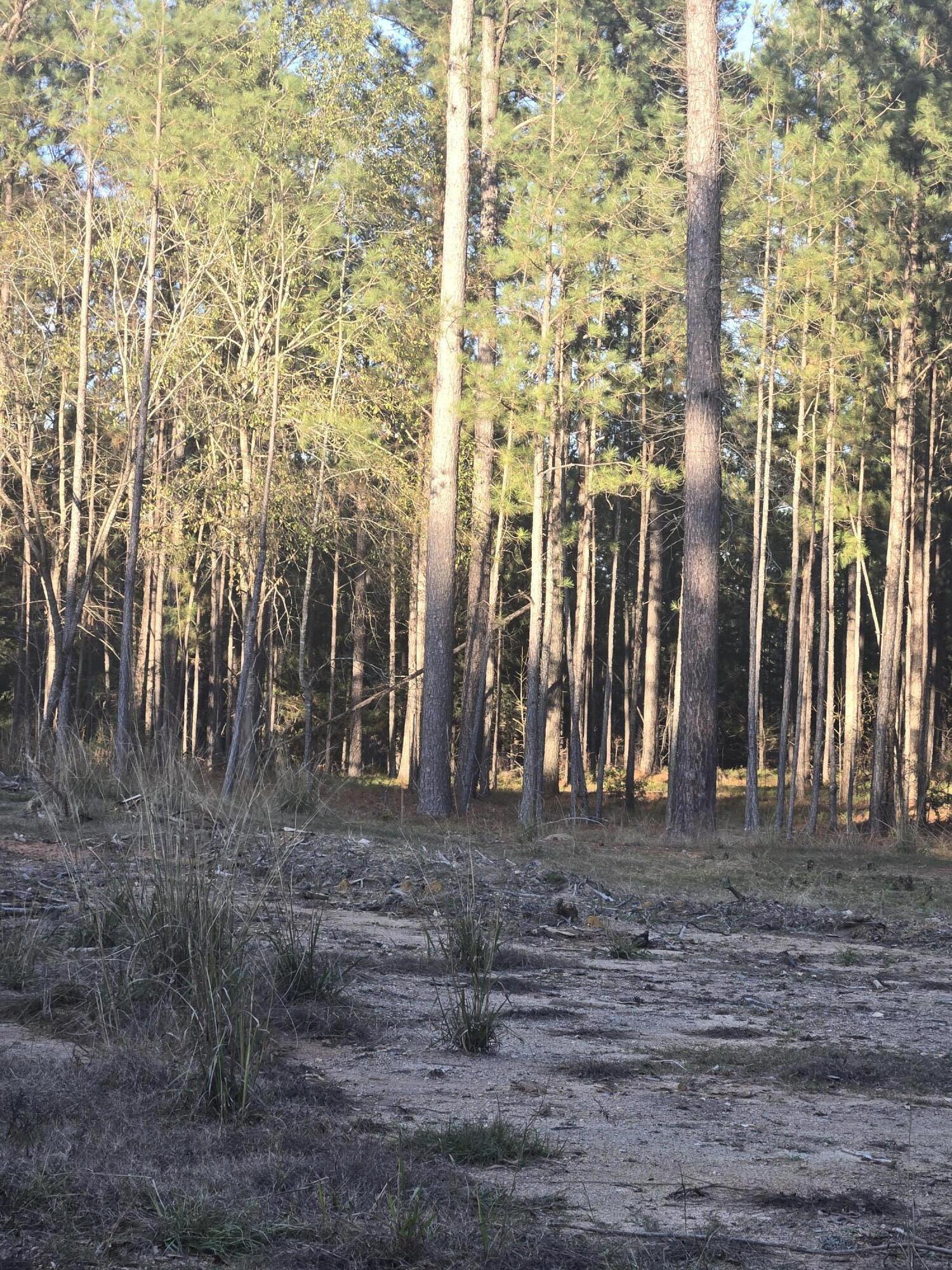 Homes for sale in Lincolnton, GA | 0 Pineridge Dr, Lincolnton, GA 30817 | MLS# 550091