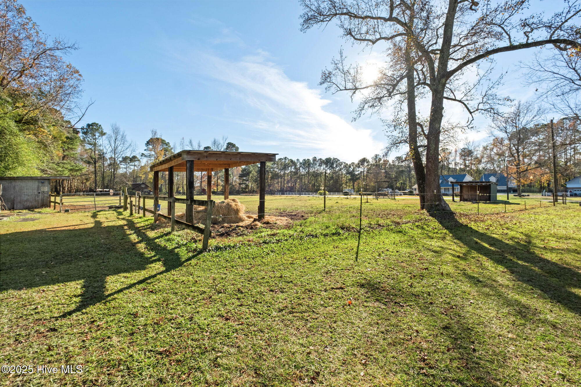 100542459 | Photo 34