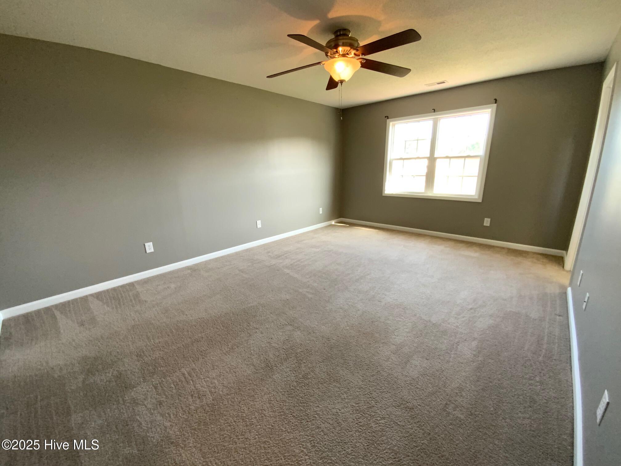 100538569 | Photo 16