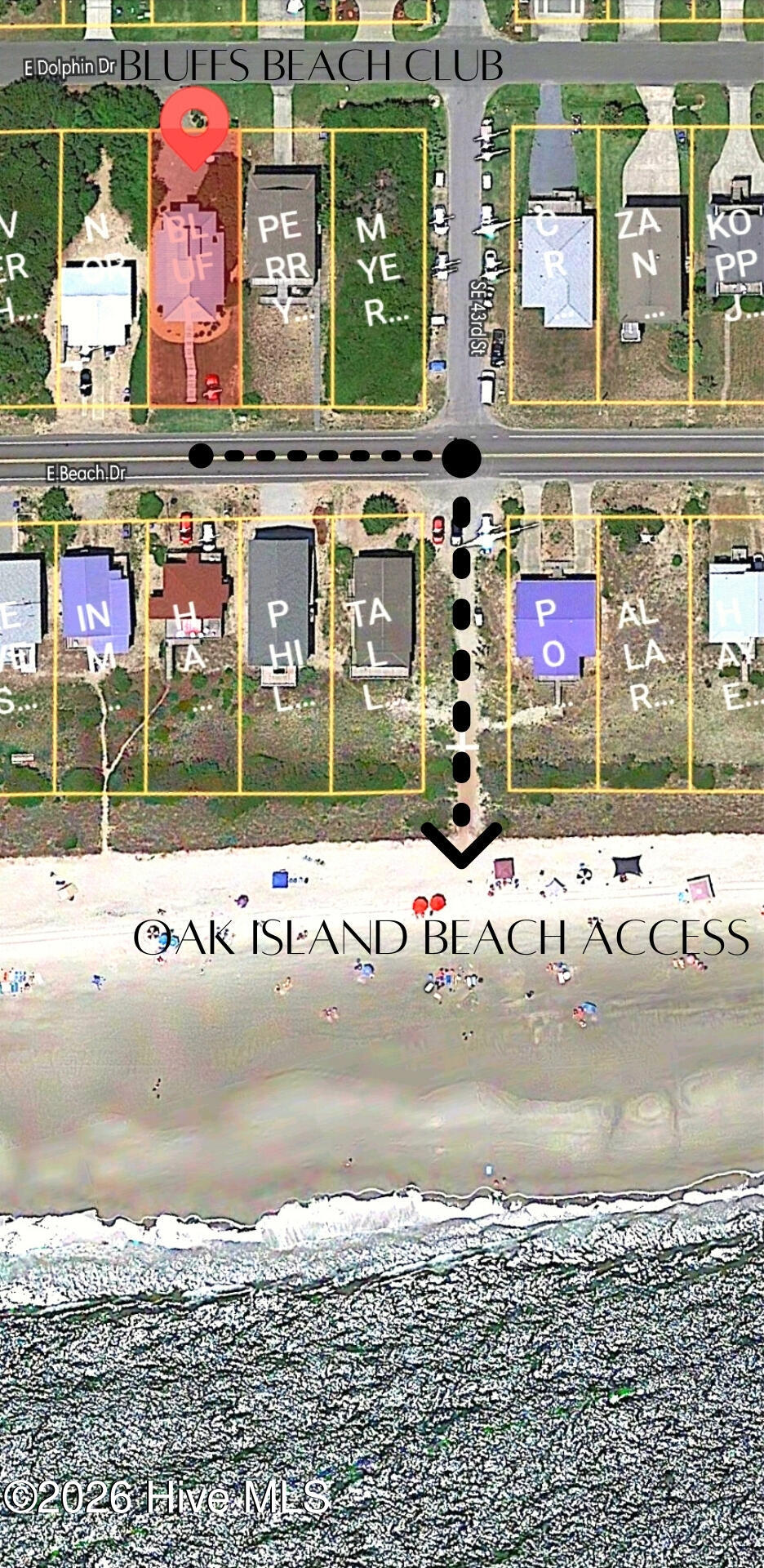 100567855 | Photo 97