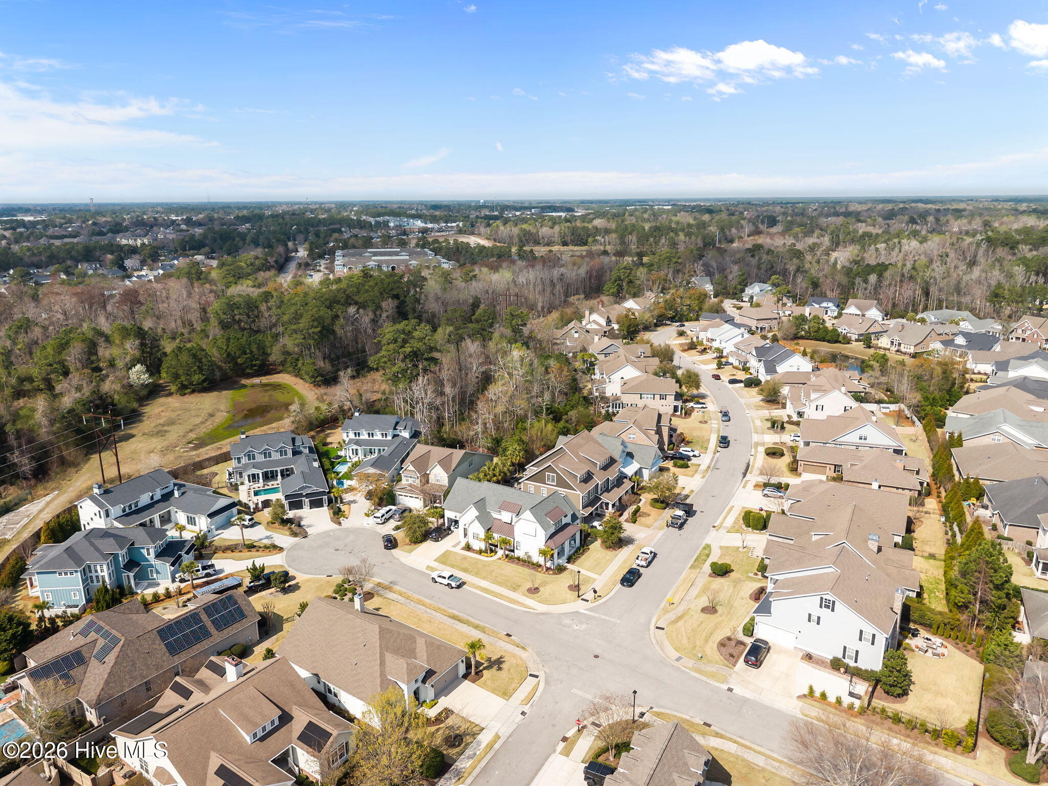 100559704 | Photo 38