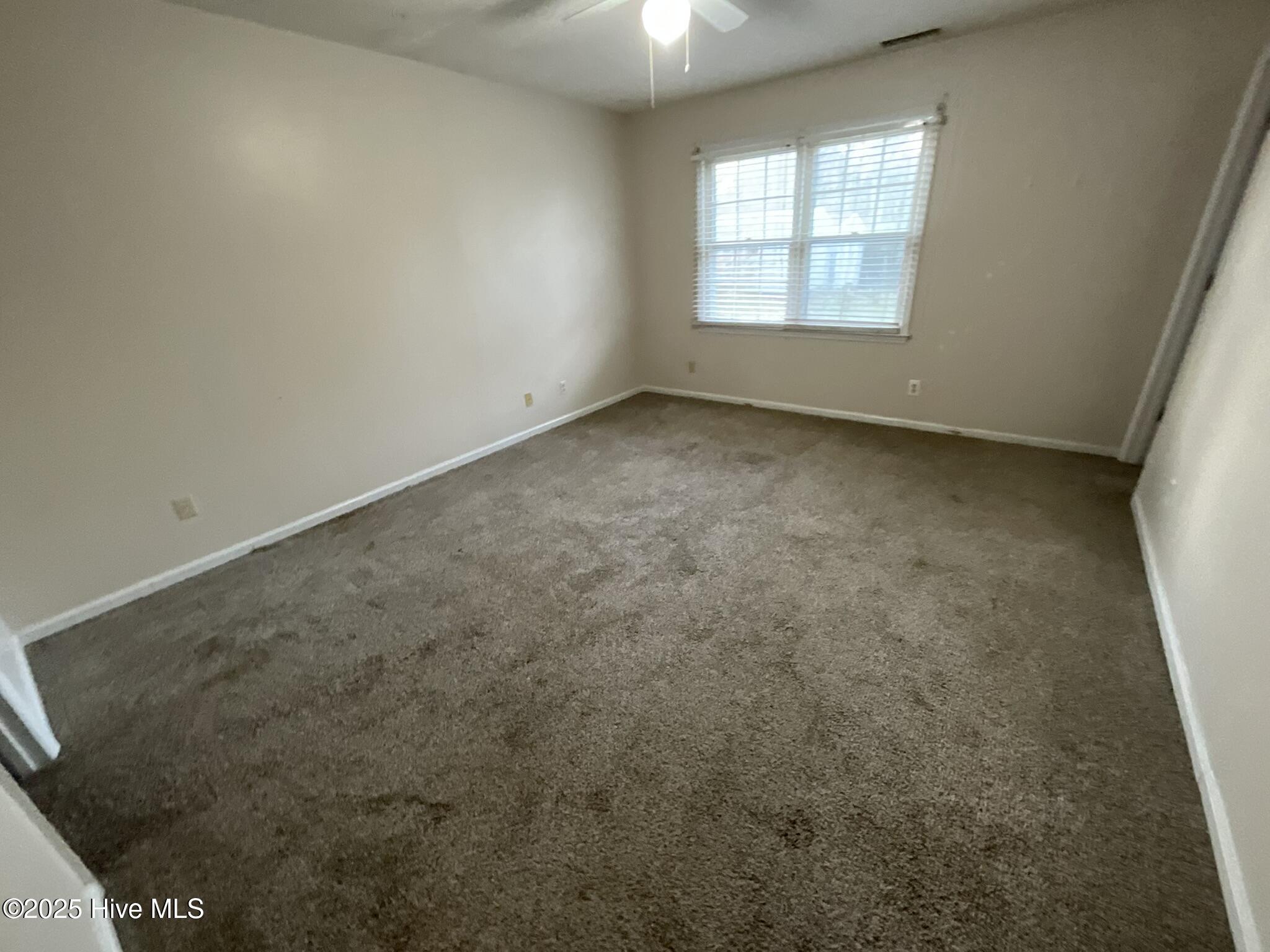 100546587 | Photo 10