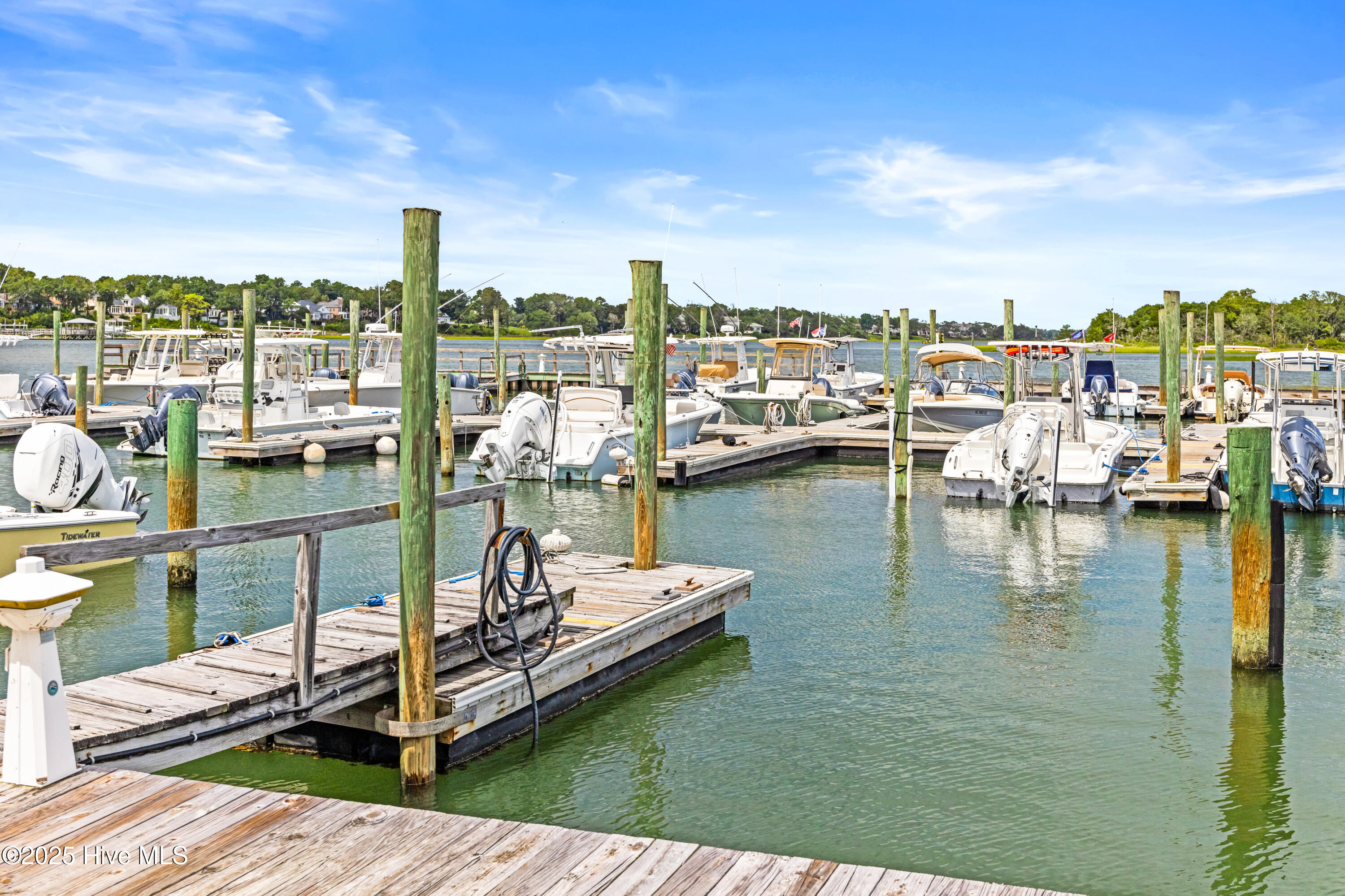 100523533 | Photo 33