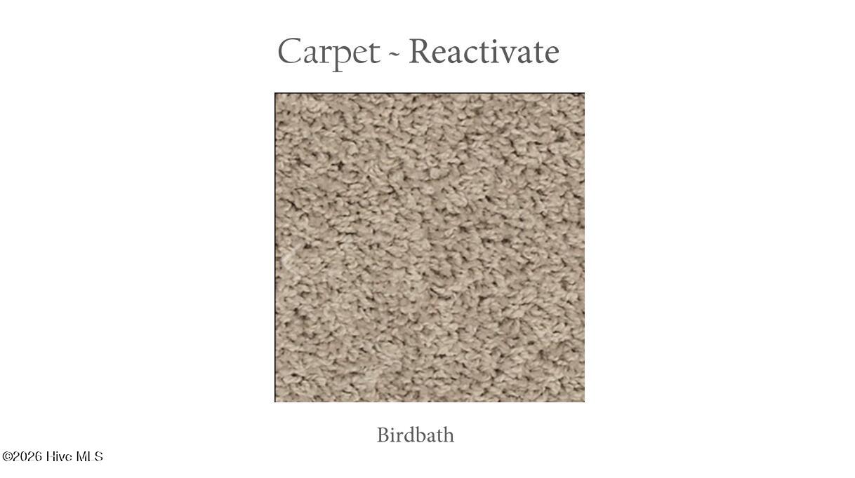 100569488 | Photo 16