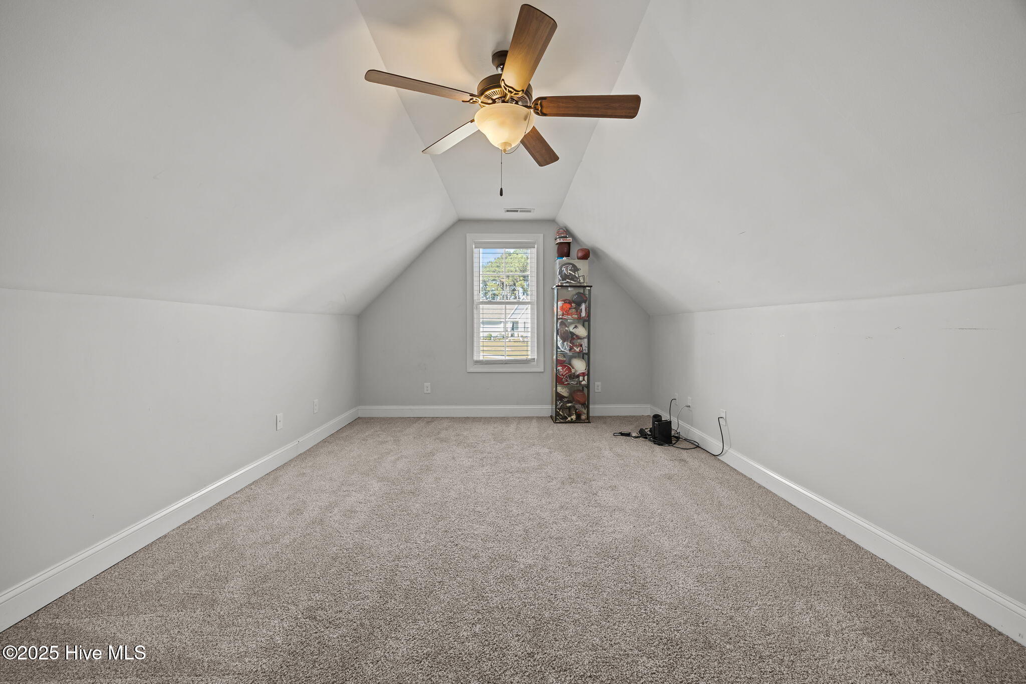 100541215 | Photo 22