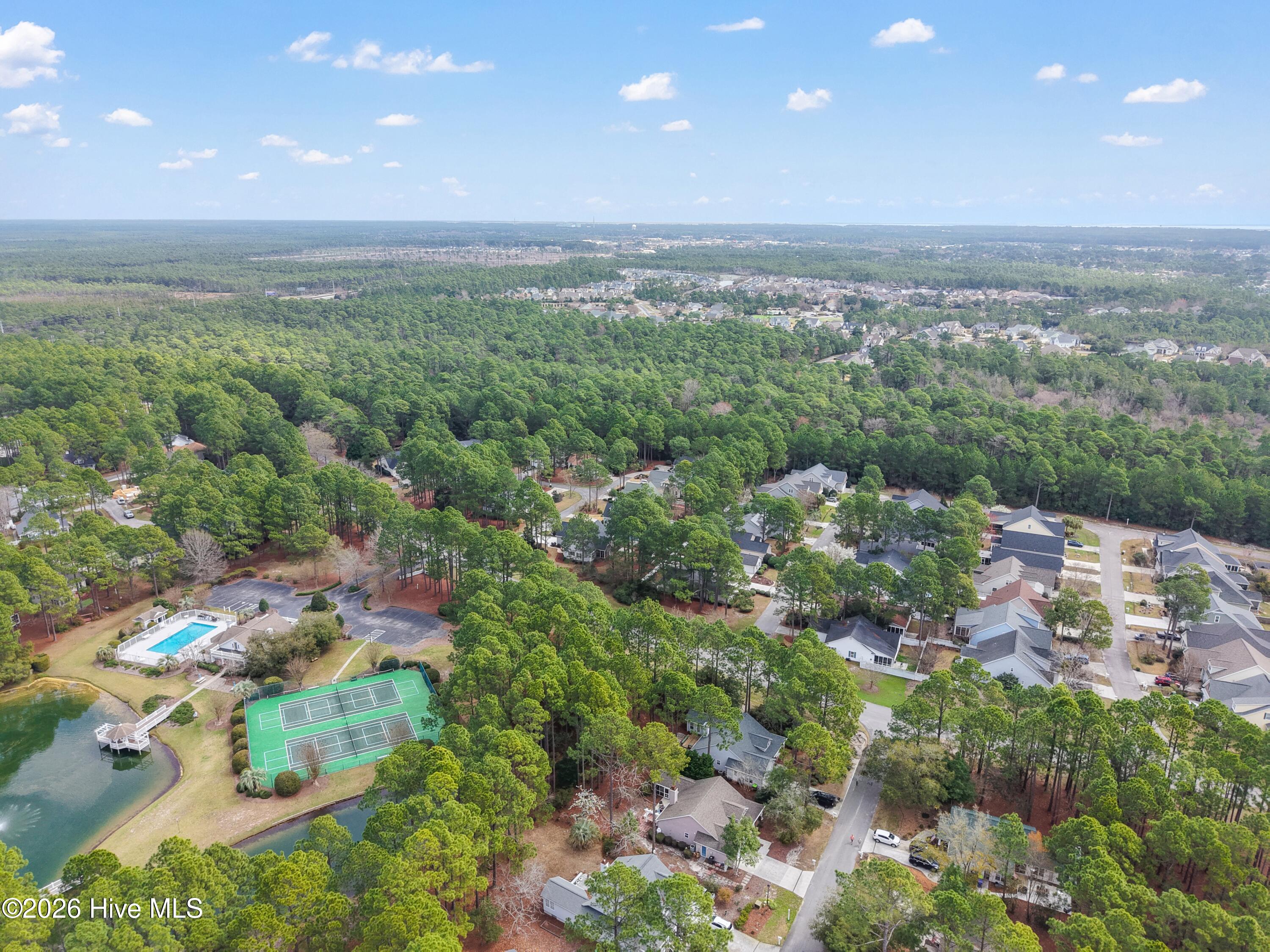 100559952 | Photo 52