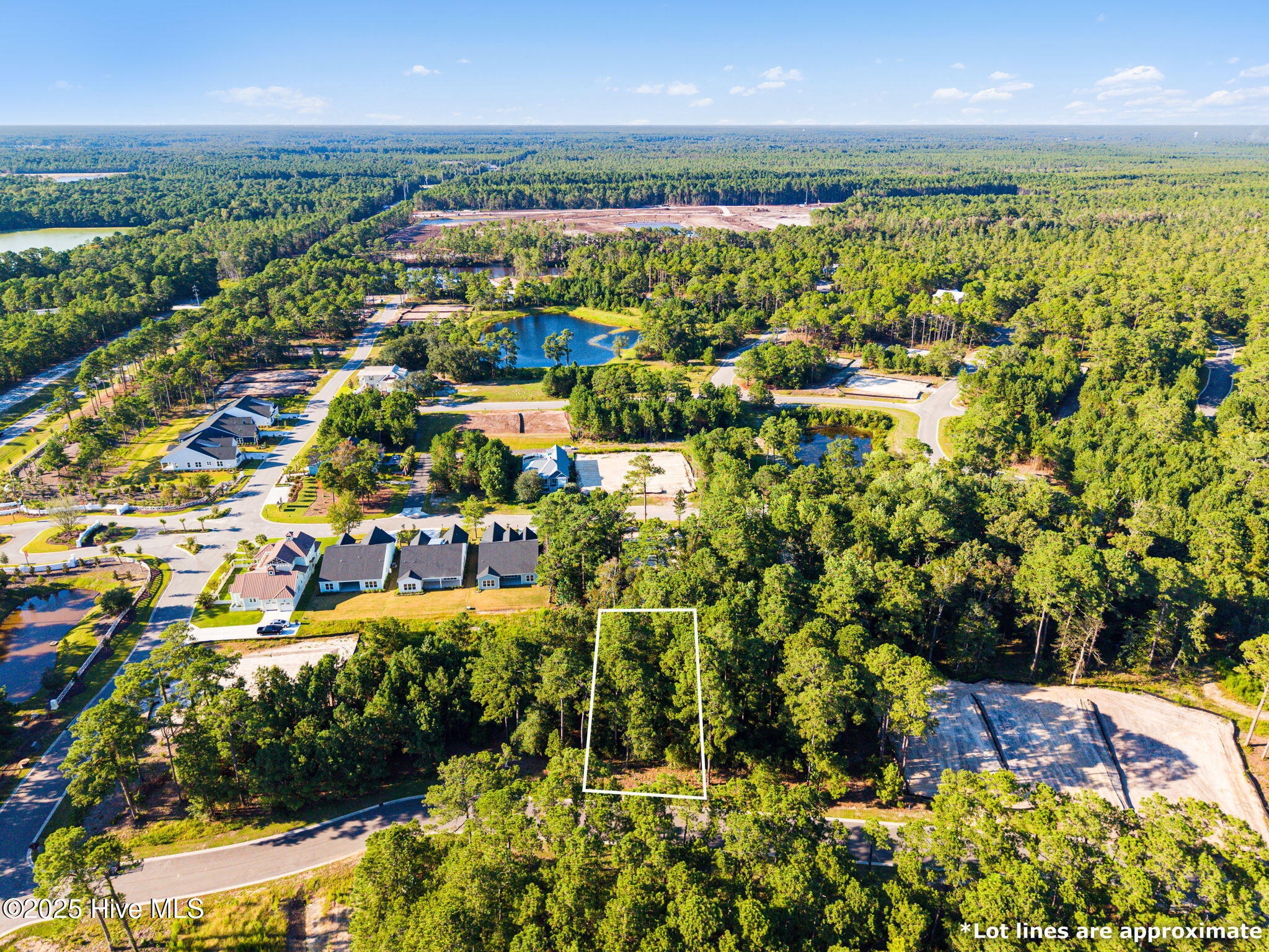 100529223 | Photo 13