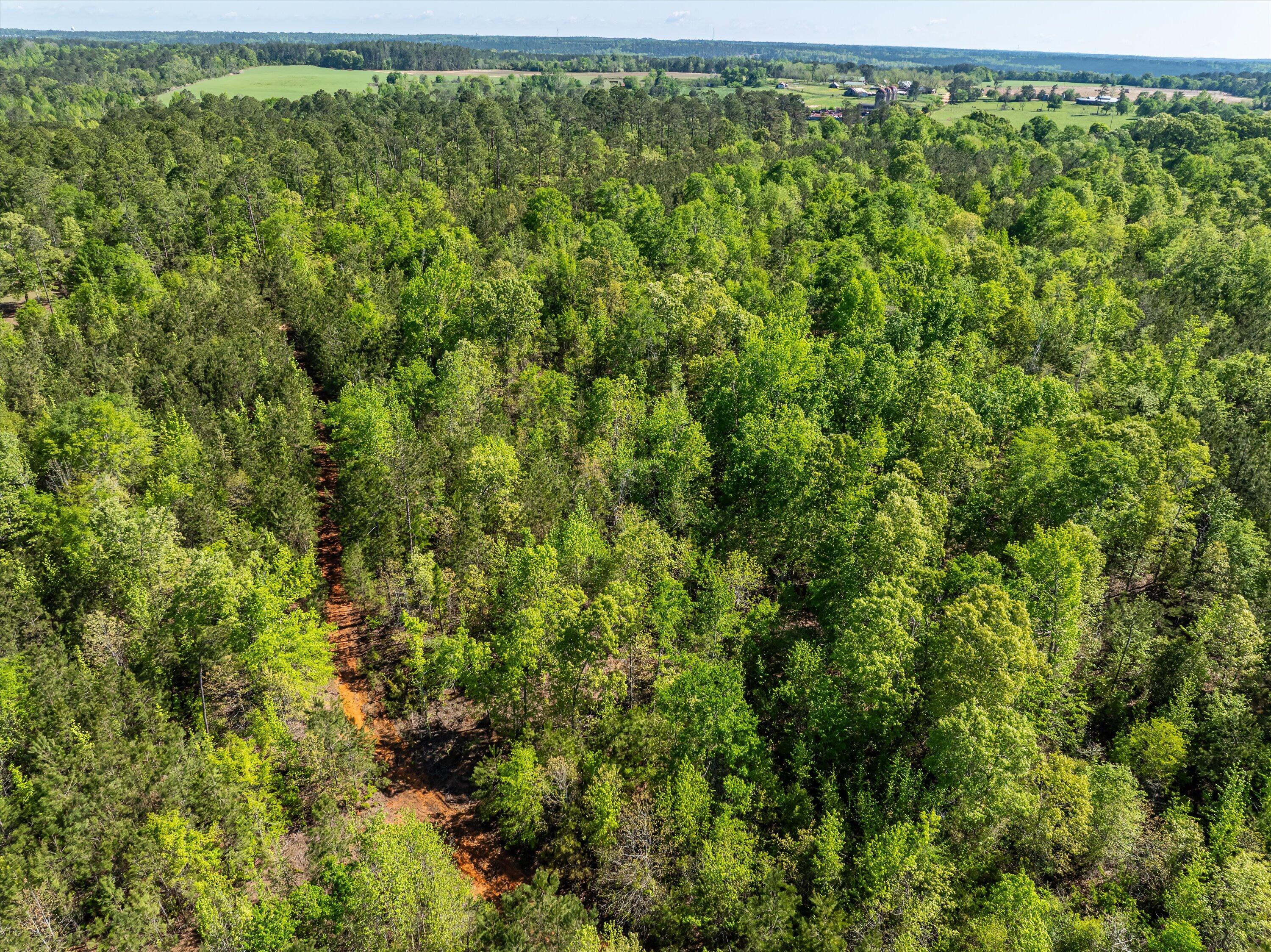 24-DJI_0695-HDR