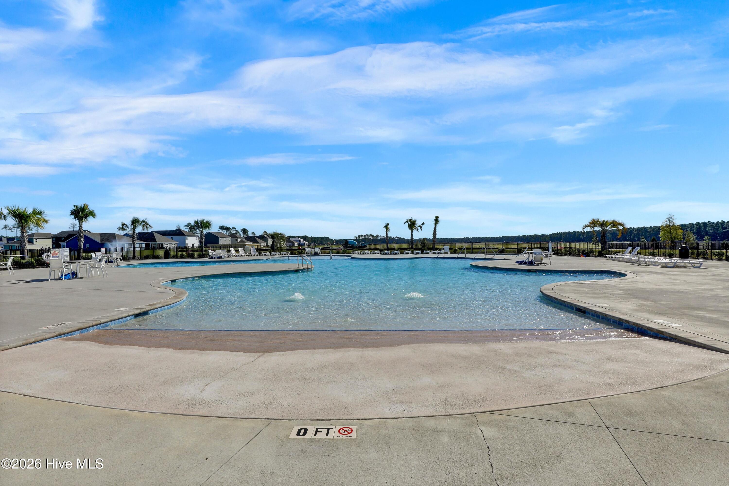 100558236 | Photo 59