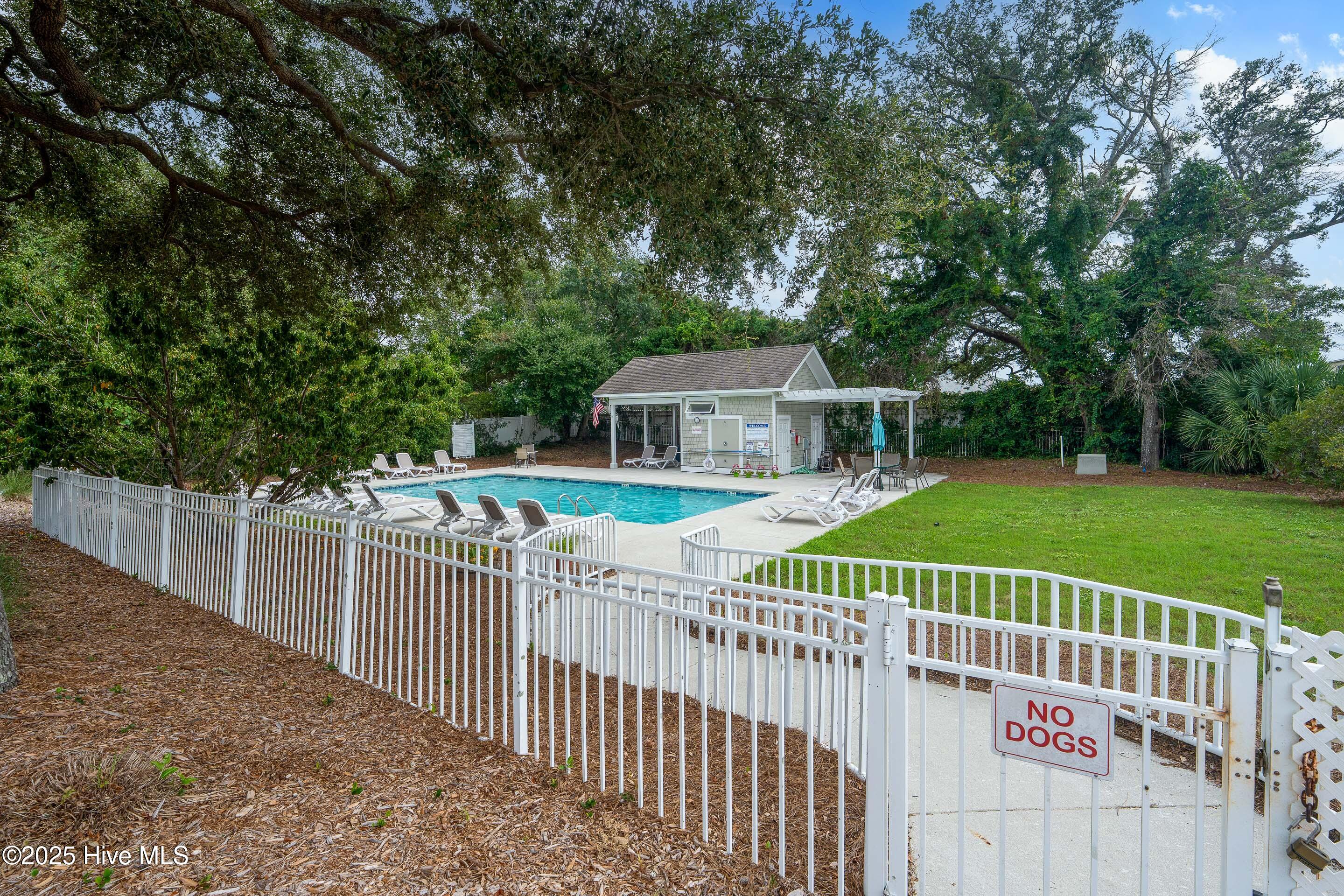 100526442 | Photo 34