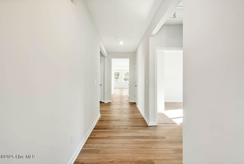 100528911 | Photo 17