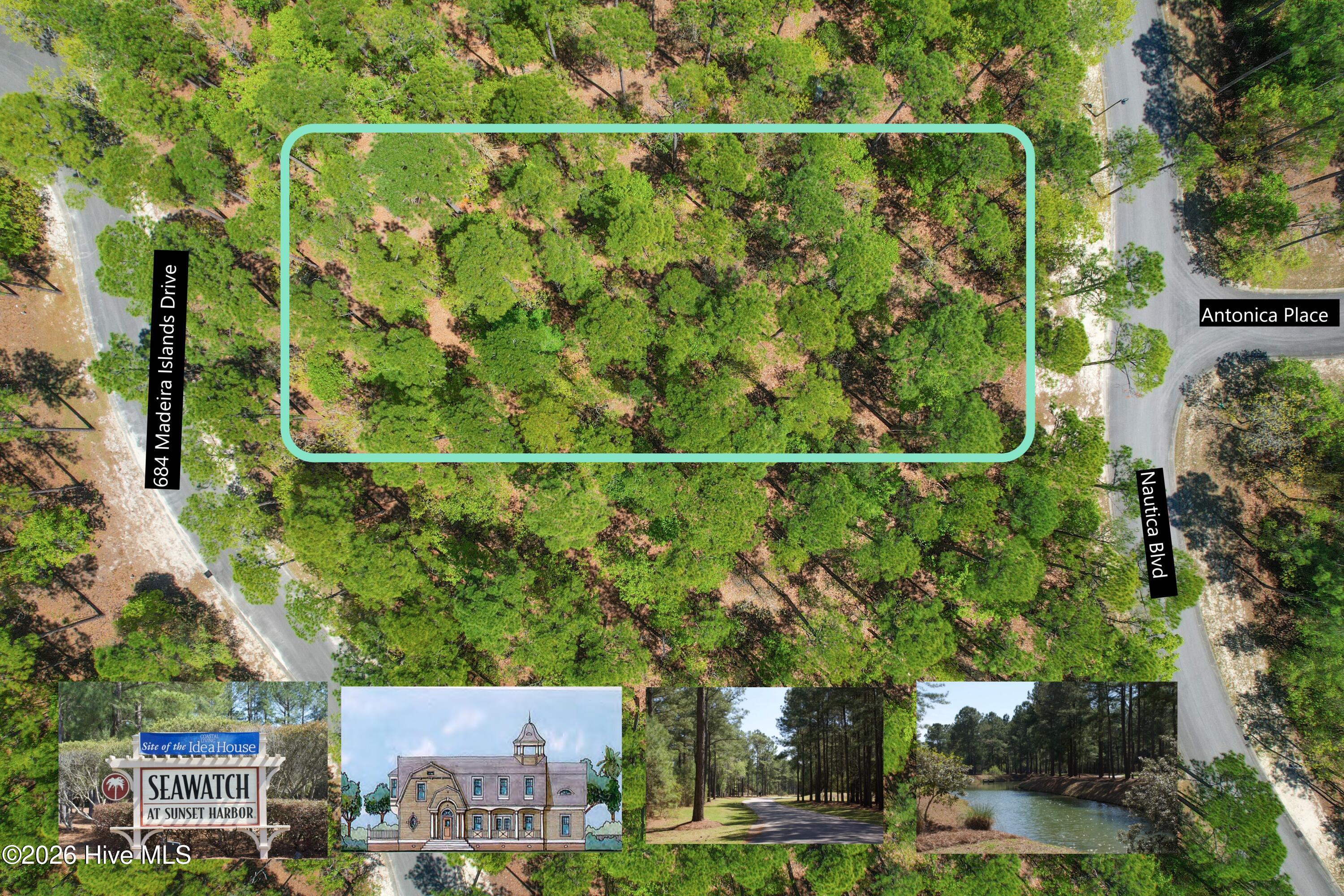 100567307 | Photo 11