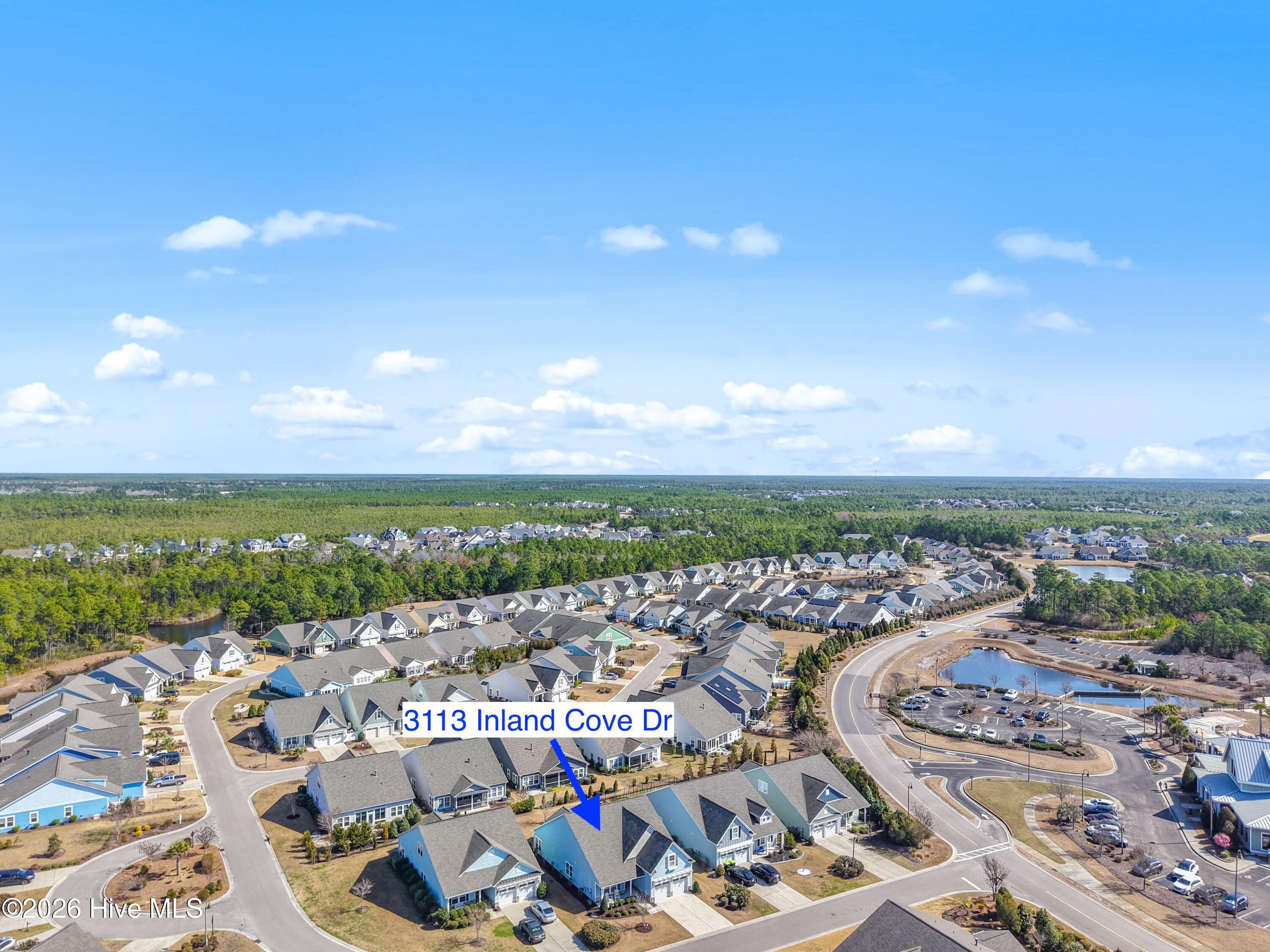 100559235 | Photo 44