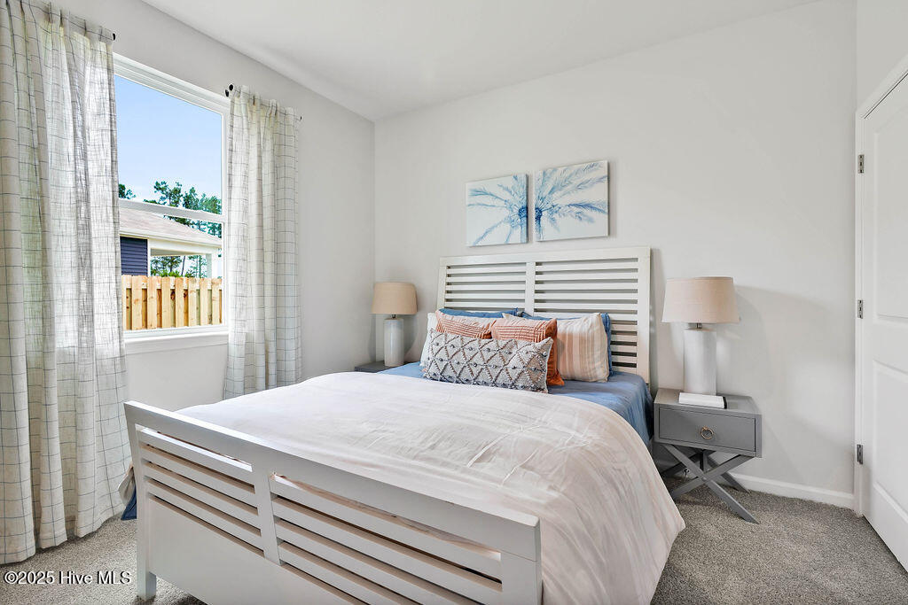 100531581 | Photo 17