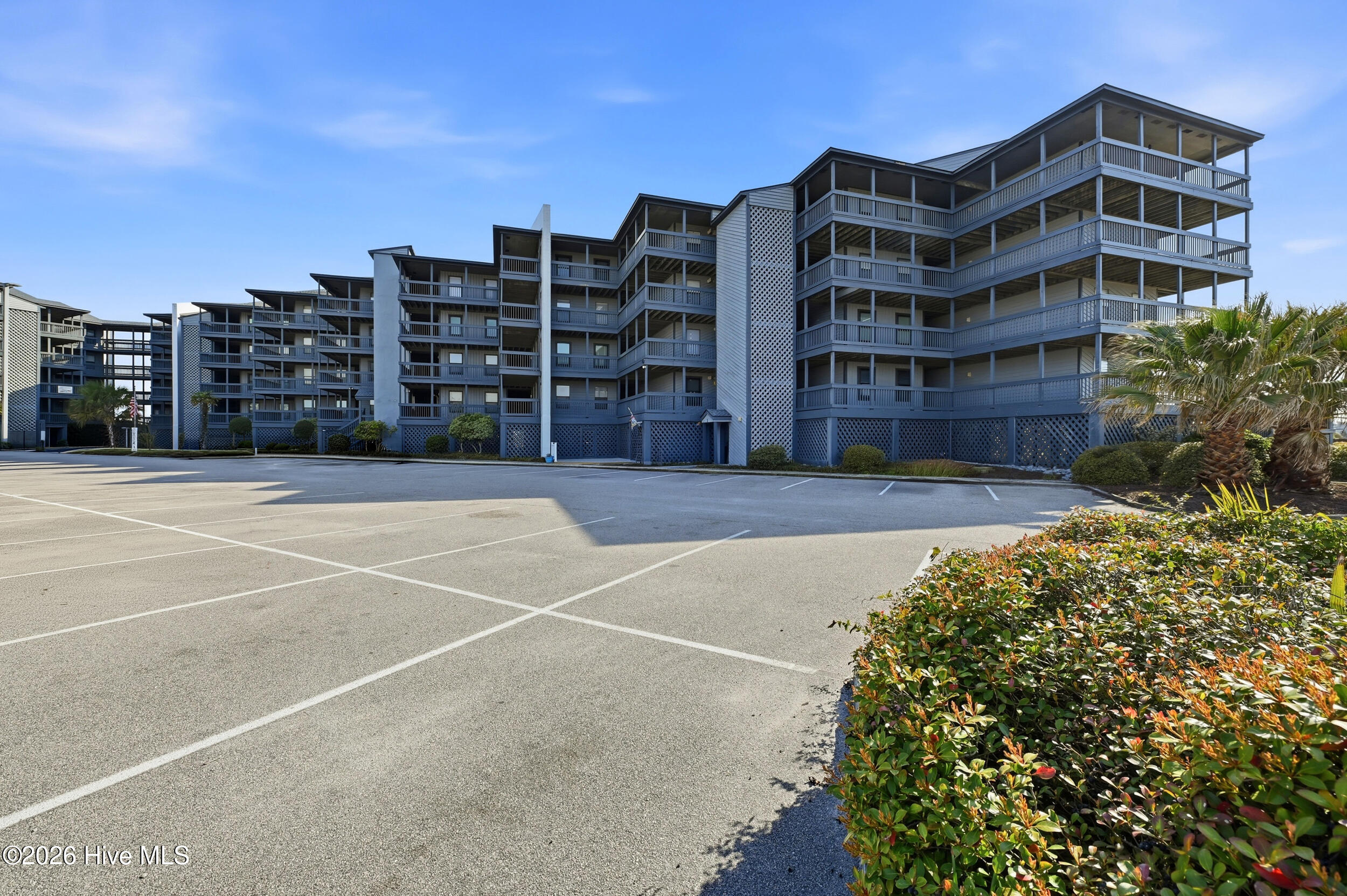 100558003 | Photo 53