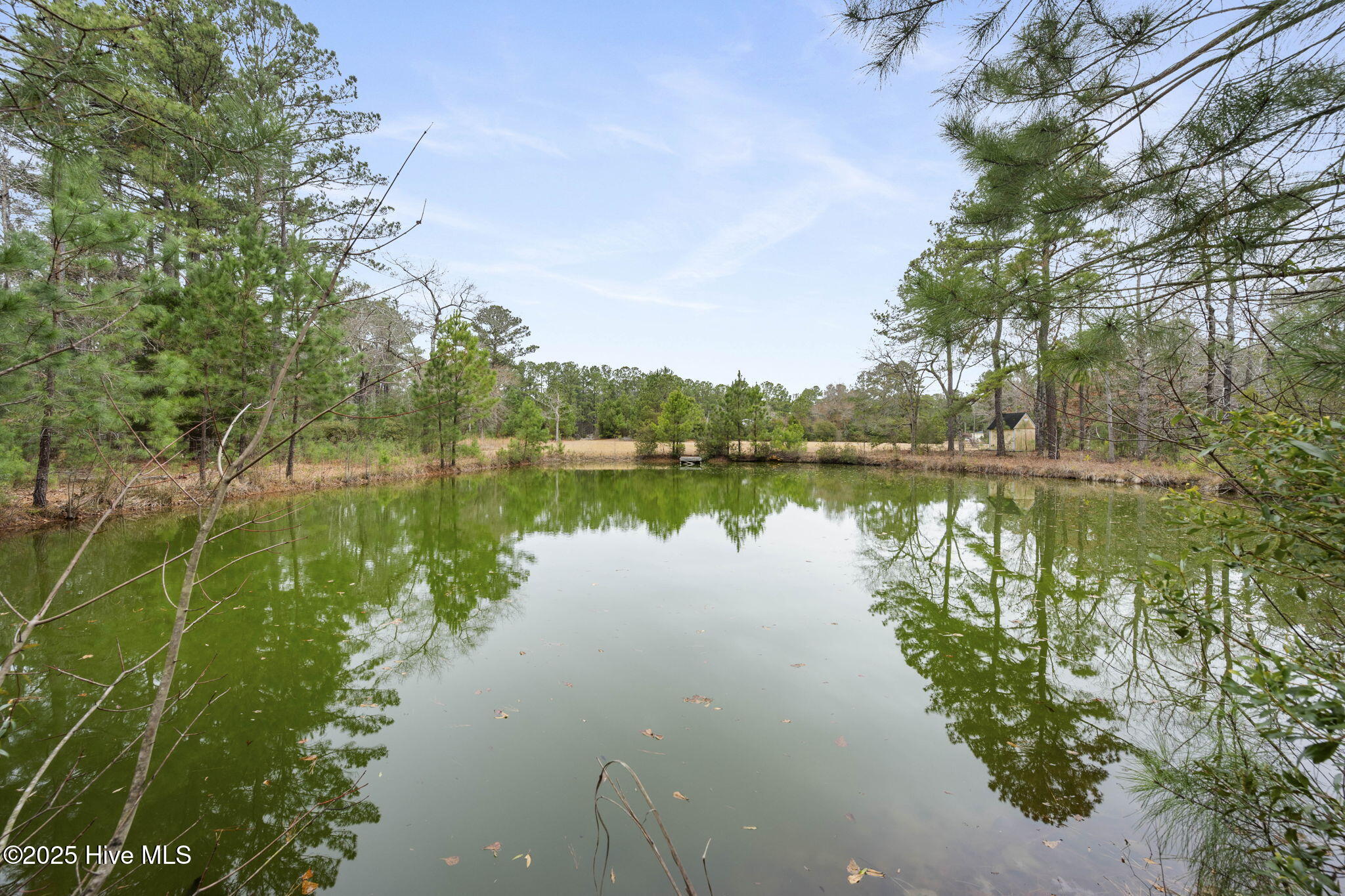 100546888 | Photo 27