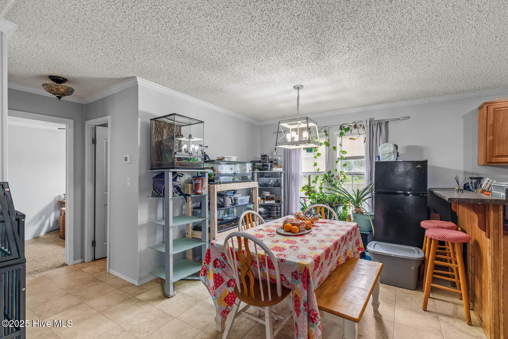 100528687 | Photo 10