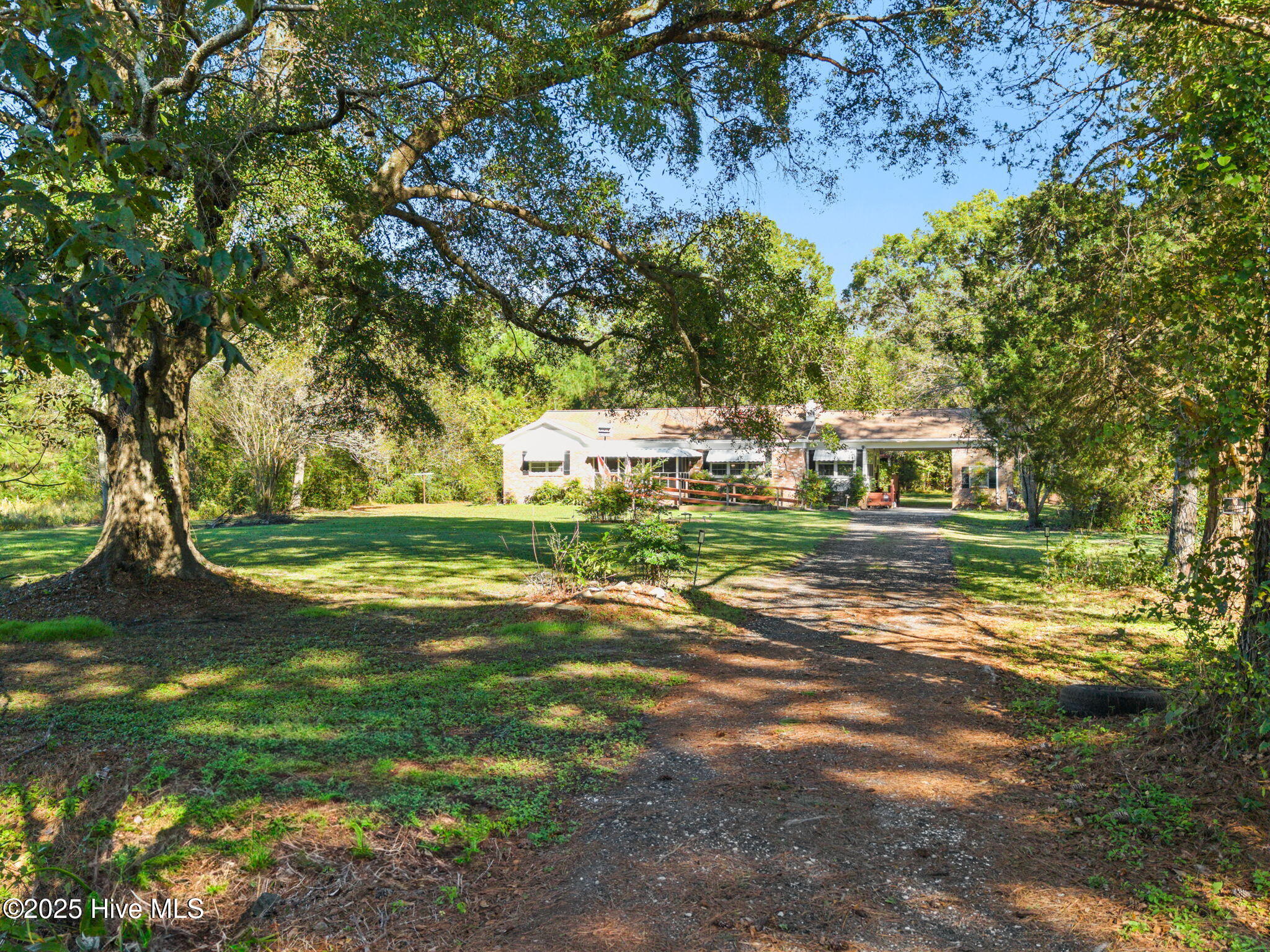 100537275 | Photo 29