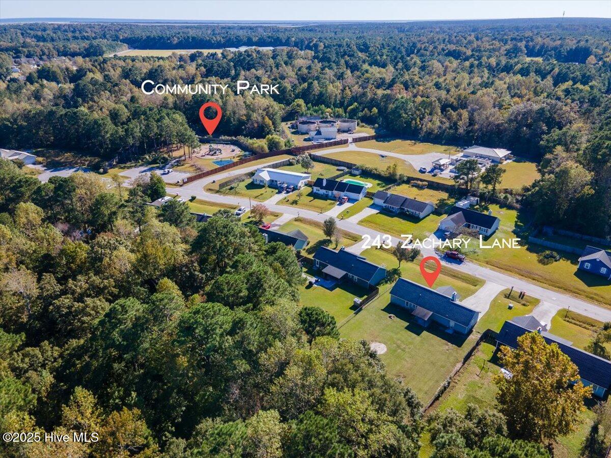 100538158 | Photo 19