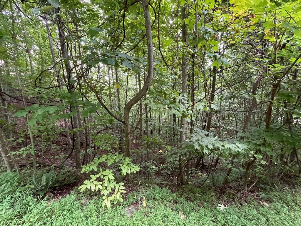 Exterior photo of Lot 32J Mountain Harbour, Hayesville, NC 28904. MLS: 98525058