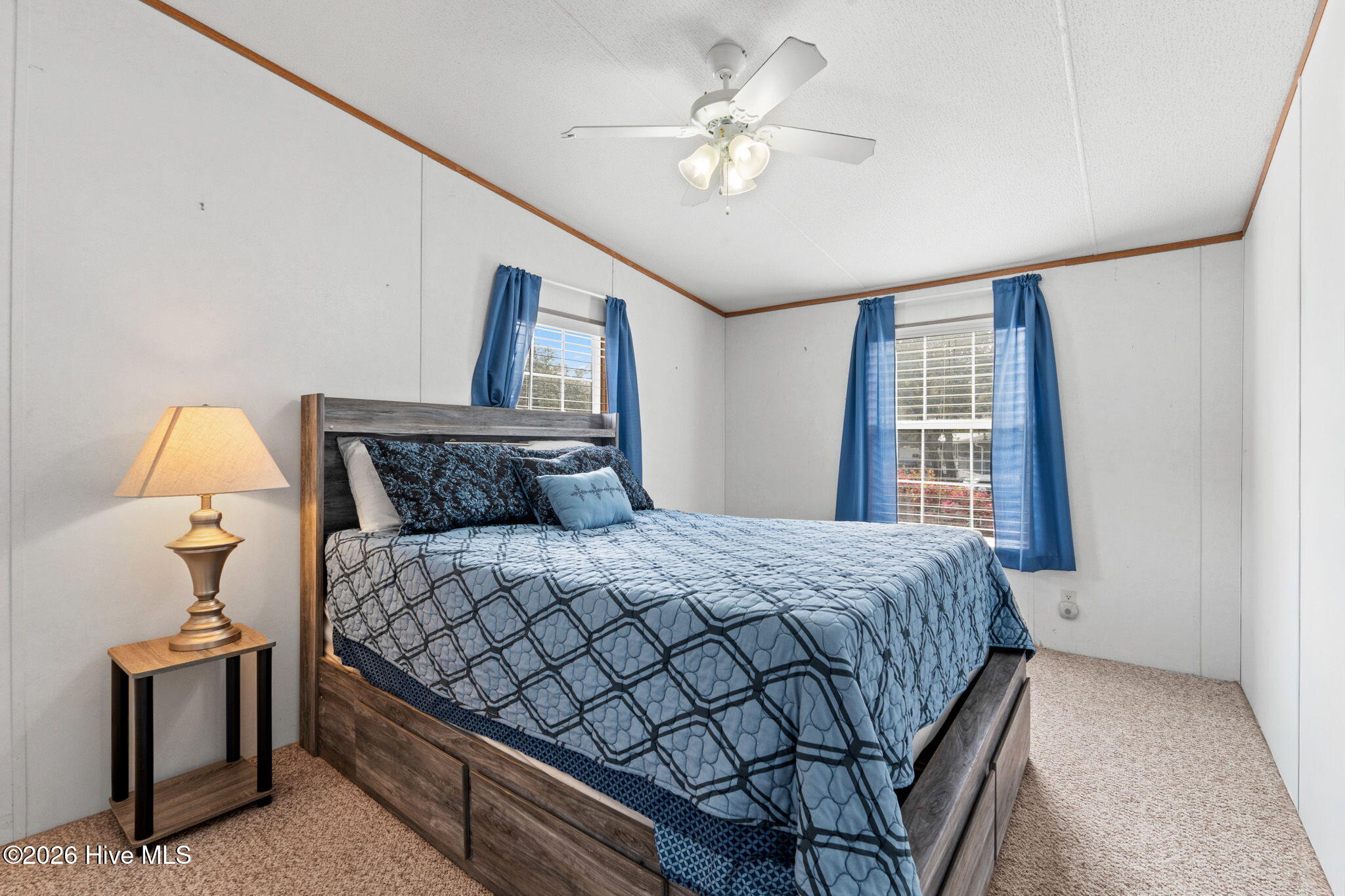 100564701 | Photo 26