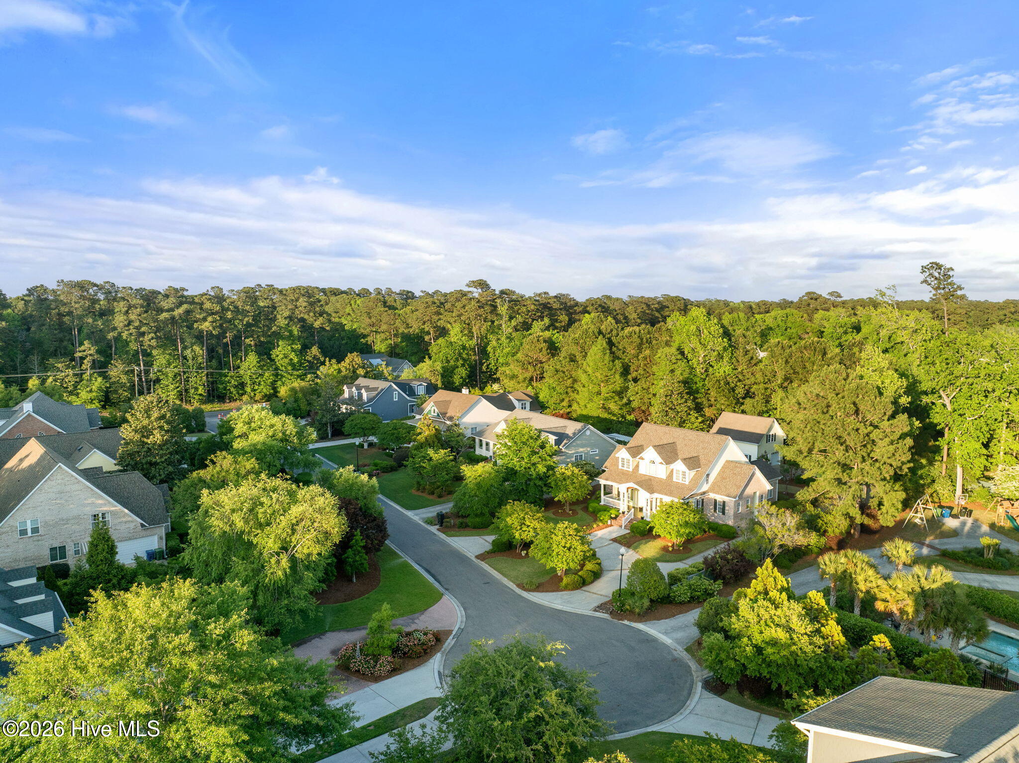 100570394 | Photo 91