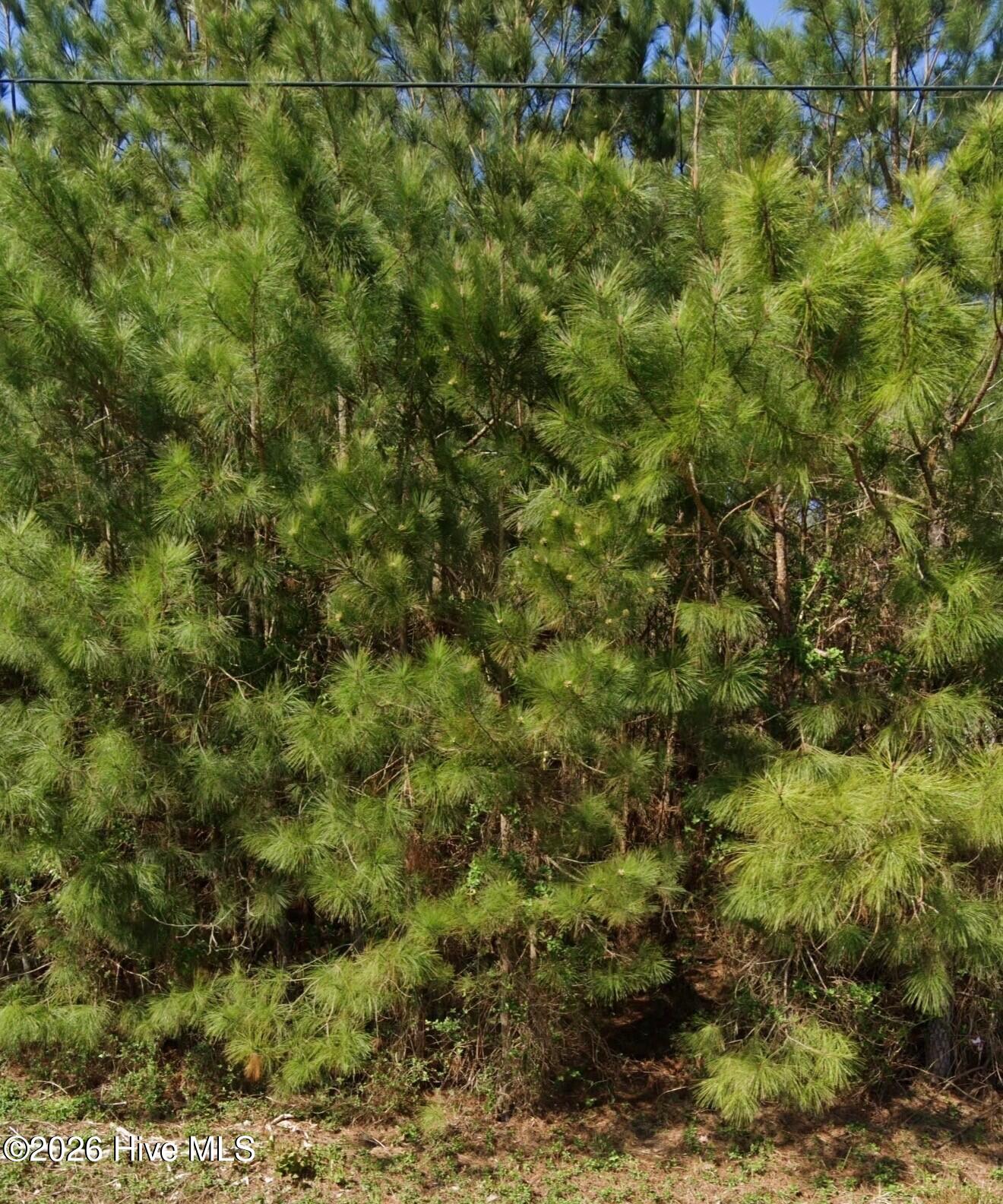 6a Bradleyville Road Lane, North Augusta, SC, 29841